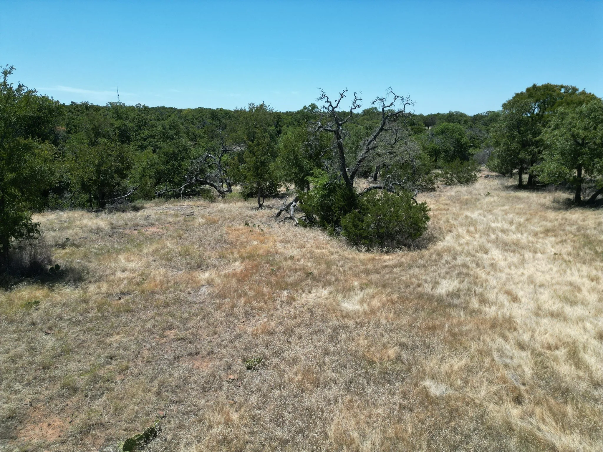 Unimproved Land For Sale in Palo Pinto County , 1019 Stagecoach Trail, Gordon, Texas 76453, 0, 0, Garage spaces, 0 Sqft, built in 0, mls#21365734, Real Estate Agent in Gordon, Homes For Sale in Palo Pinto county, Homes For Sale in Gordon, Realtor in Gordon Texas, Real Estate Brokerage Independent Realty Texas, Luminita Cordes Realtor