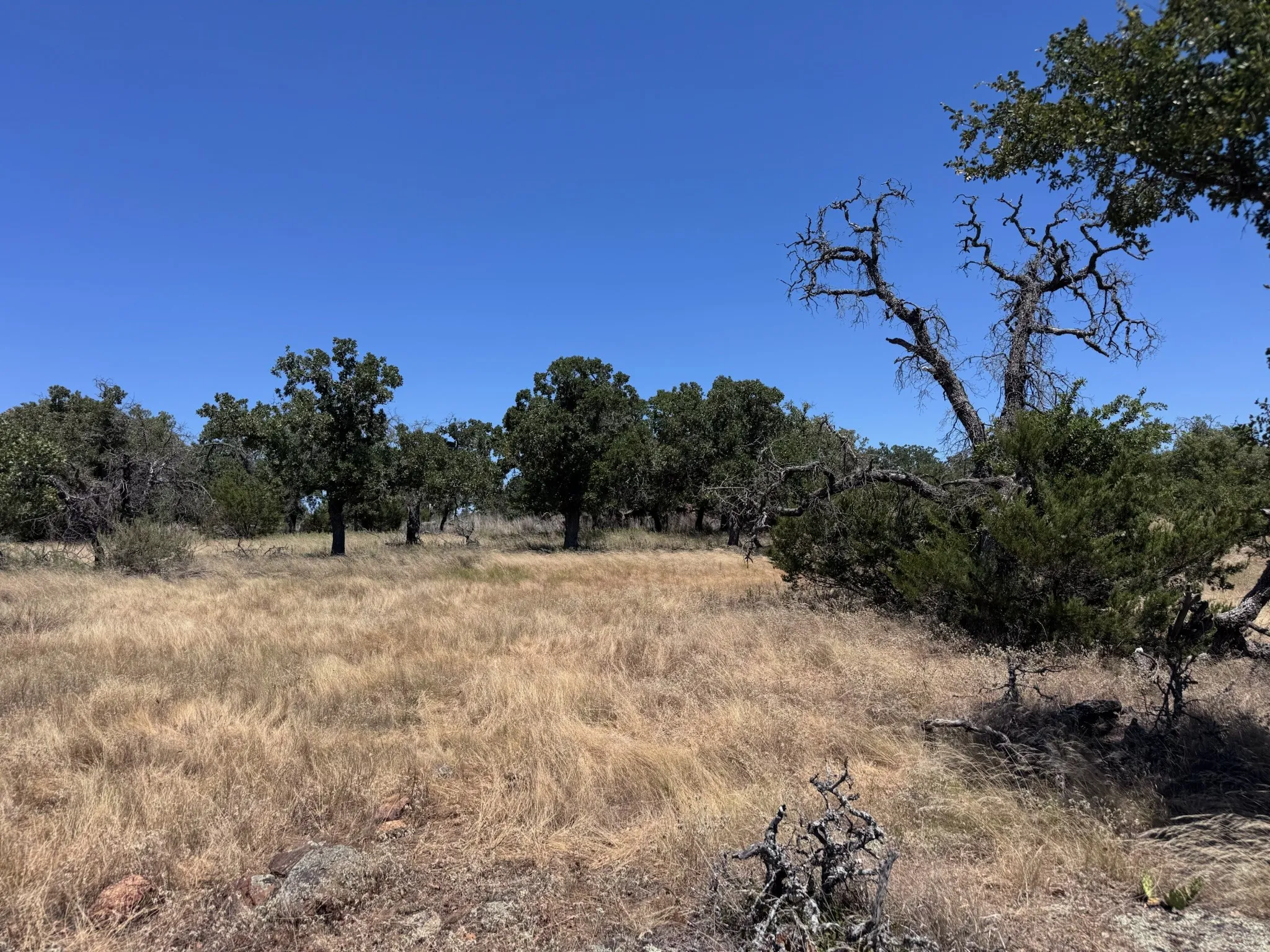 Unimproved Land For Sale in Palo Pinto County , 1019 Stagecoach Trail, Gordon, Texas 76453, 0, 0, Garage spaces, 0 Sqft, built in 0, mls#21365734, Real Estate Agent in Gordon, Homes For Sale in Palo Pinto county, Homes For Sale in Gordon, Realtor in Gordon Texas, Real Estate Brokerage Independent Realty Texas, Luminita Cordes Realtor