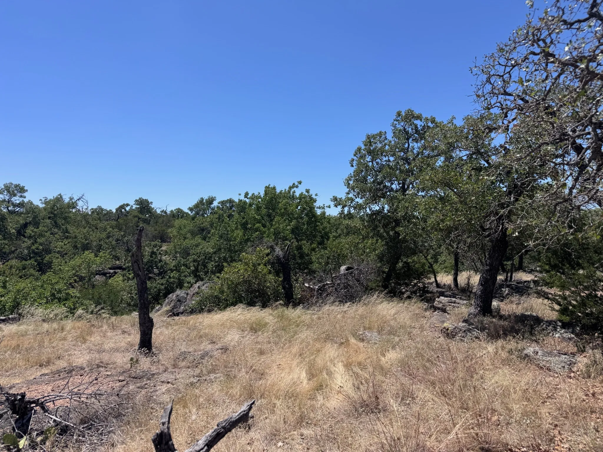 Unimproved Land For Sale in Palo Pinto County , 1019 Stagecoach Trail, Gordon, Texas 76453, 0, 0, Garage spaces, 0 Sqft, built in 0, mls#21365734, Real Estate Agent in Gordon, Homes For Sale in Palo Pinto county, Homes For Sale in Gordon, Realtor in Gordon Texas, Real Estate Brokerage Independent Realty Texas, Luminita Cordes Realtor