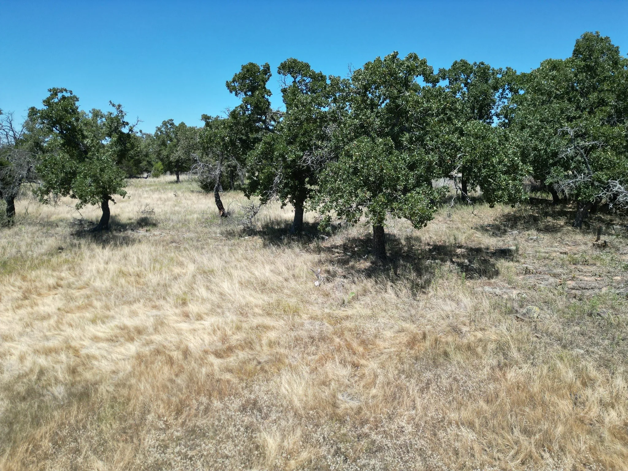 Unimproved Land For Sale in Palo Pinto County , 1019 Stagecoach Trail, Gordon, Texas 76453, 0, 0, Garage spaces, 0 Sqft, built in 0, mls#21365734, Real Estate Agent in Gordon, Homes For Sale in Palo Pinto county, Homes For Sale in Gordon, Realtor in Gordon Texas, Real Estate Brokerage Independent Realty Texas, Luminita Cordes Realtor