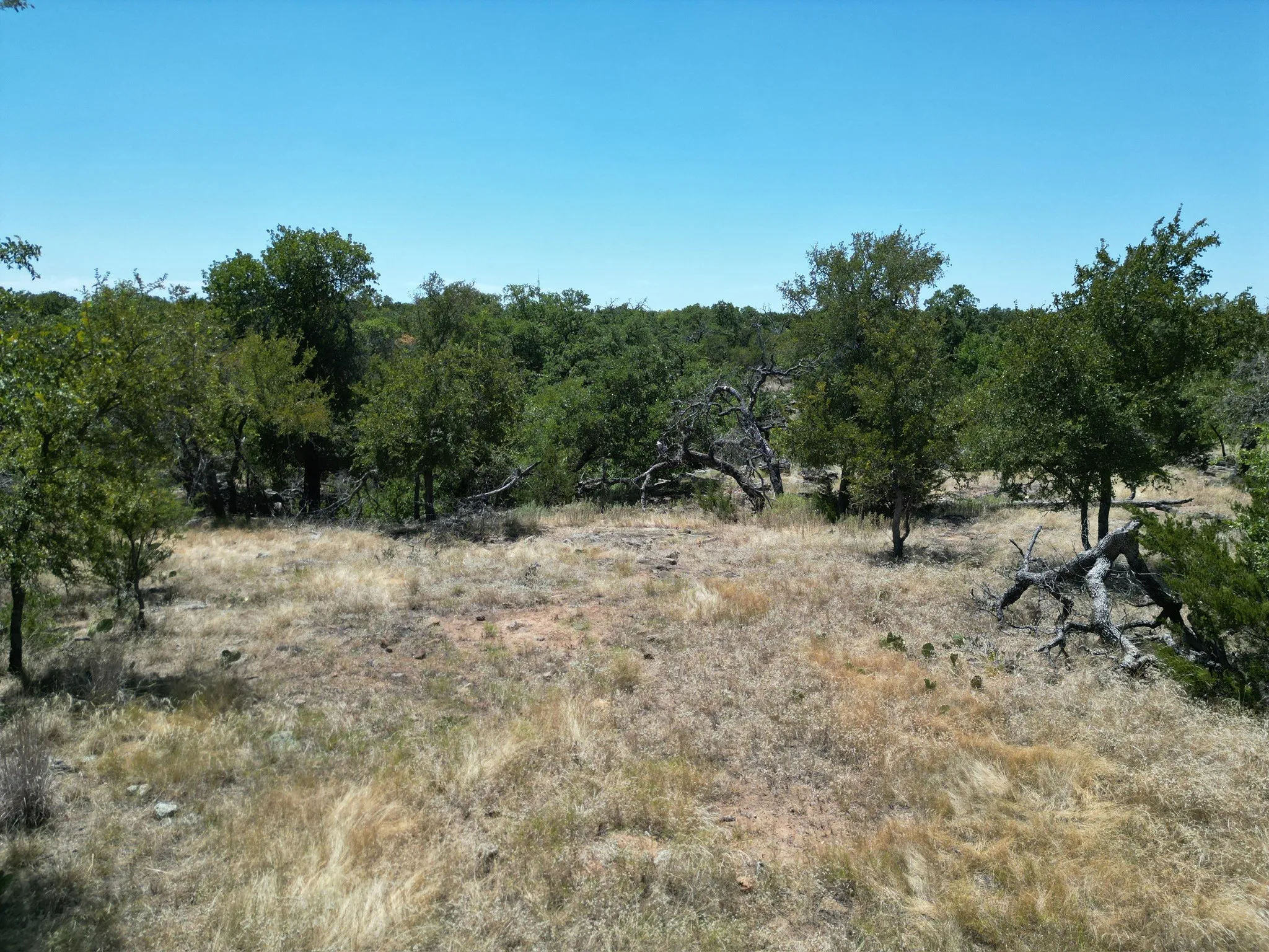 Unimproved Land For Sale in Palo Pinto County , 1019 Stagecoach Trail, Gordon, Texas 76453, 0, 0, Garage spaces, 0 Sqft, built in 0, mls#21365734, Real Estate Agent in Gordon, Homes For Sale in Palo Pinto county, Homes For Sale in Gordon, Realtor in Gordon Texas, Real Estate Brokerage Independent Realty Texas, Luminita Cordes Realtor