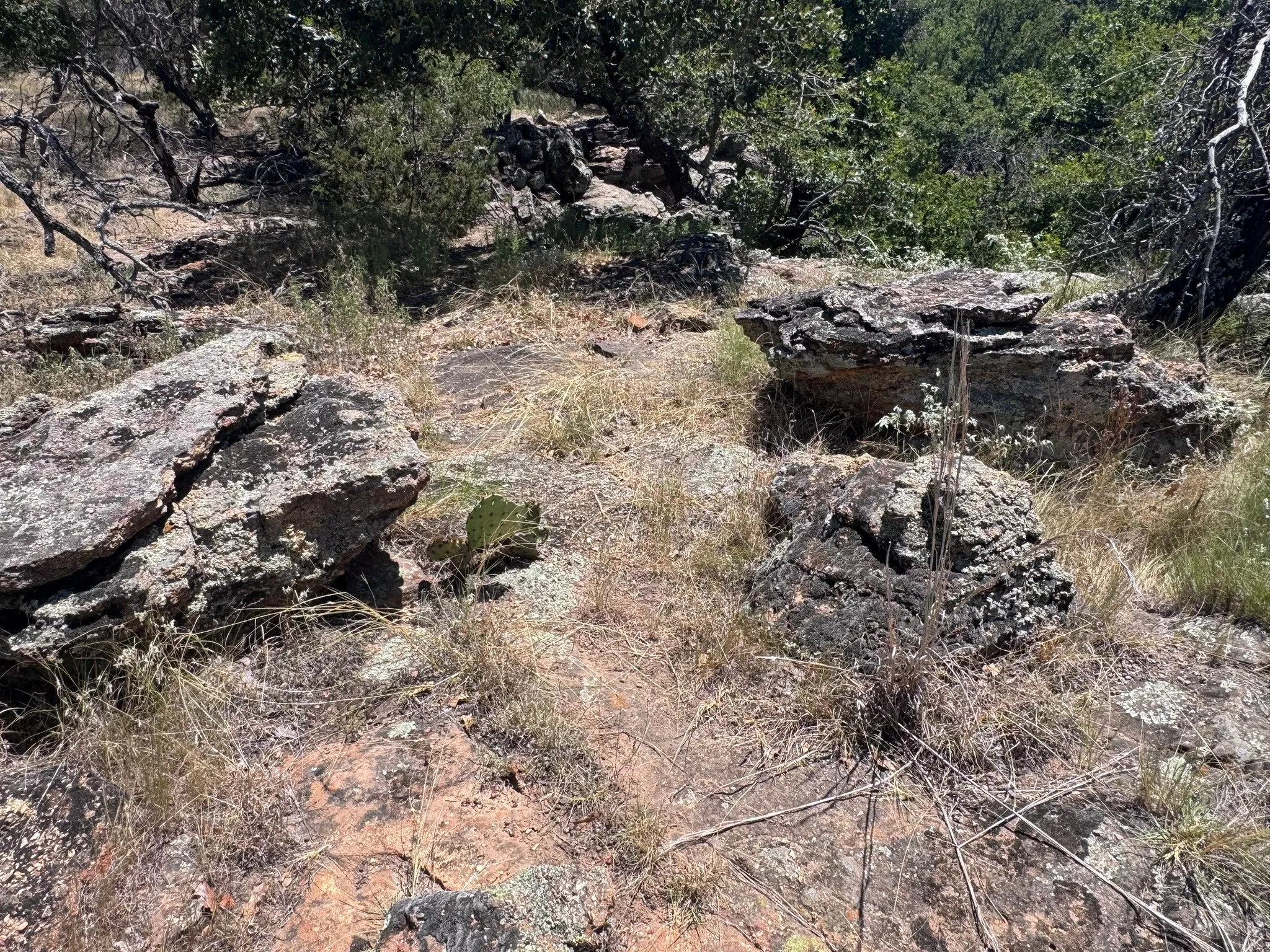 Unimproved Land For Sale in Palo Pinto County , 1019 Stagecoach Trail, Gordon, Texas 76453, 0, 0, Garage spaces, 0 Sqft, built in 0, mls#21365734, Real Estate Agent in Gordon, Homes For Sale in Palo Pinto county, Homes For Sale in Gordon, Realtor in Gordon Texas, Real Estate Brokerage Independent Realty Texas, Luminita Cordes Realtor