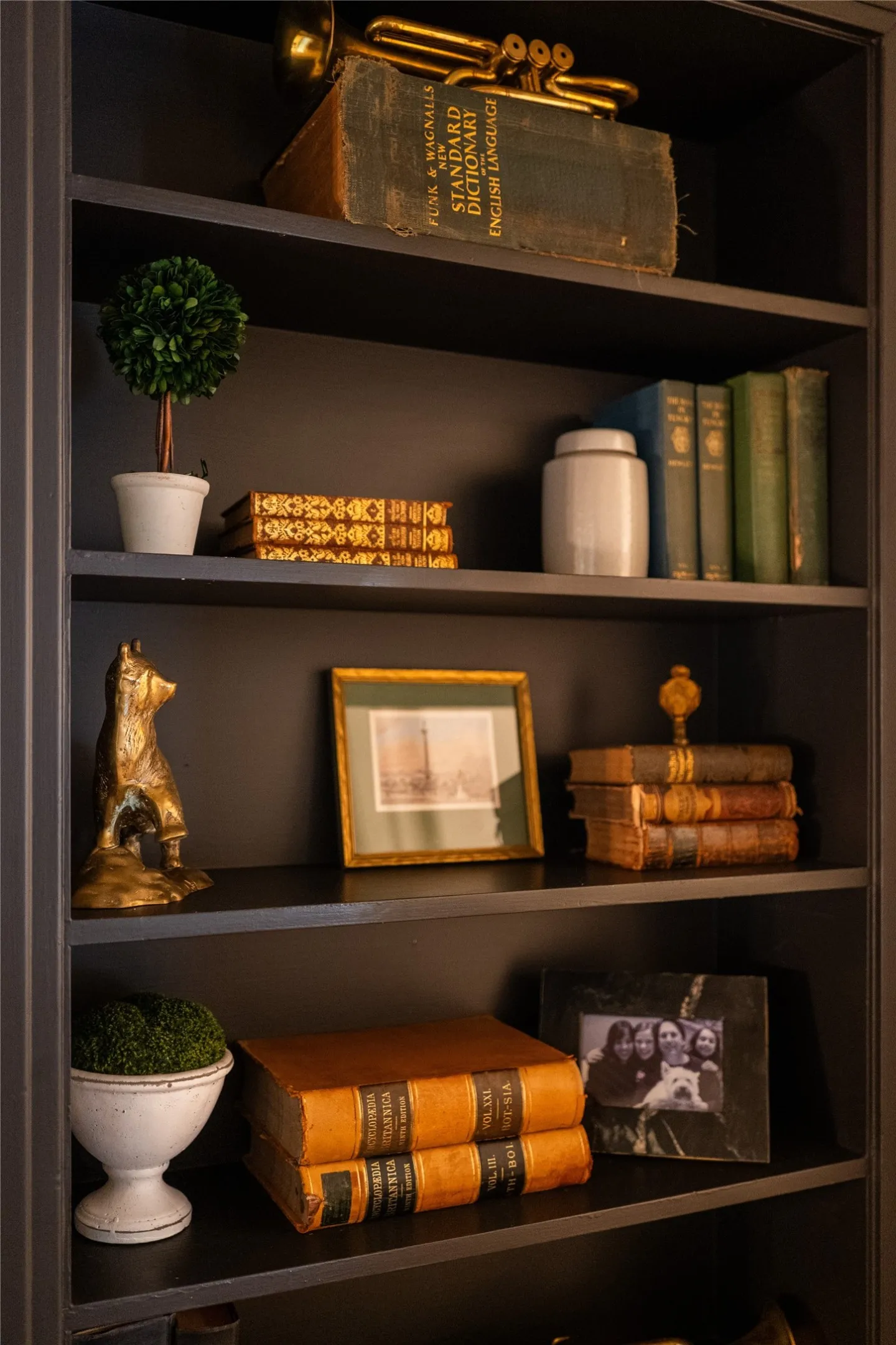Built-in shelving unit with dark finish