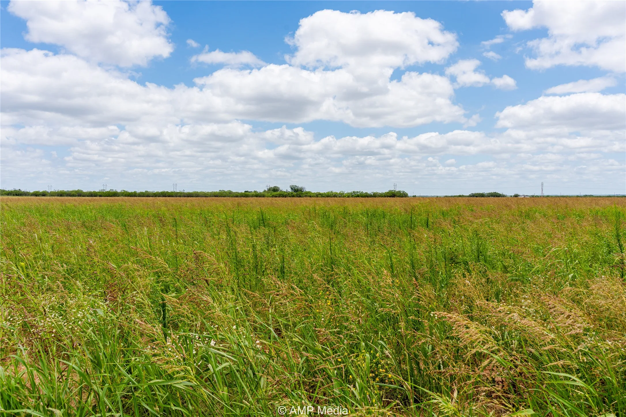 Unimproved Land For Sale in Jones County , tbd FM 1082 Highway, Hawley, Texas 79525, 0, 0, Garage spaces, 0 Sqft, built in 0, mls#21389247, Real Estate Agent in Hawley, Homes For Sale in Jones county, Homes For Sale in Hawley, Realtor in Hawley Texas, Real Estate Brokerage Independent Realty Texas, Luminita Cordes Realtor