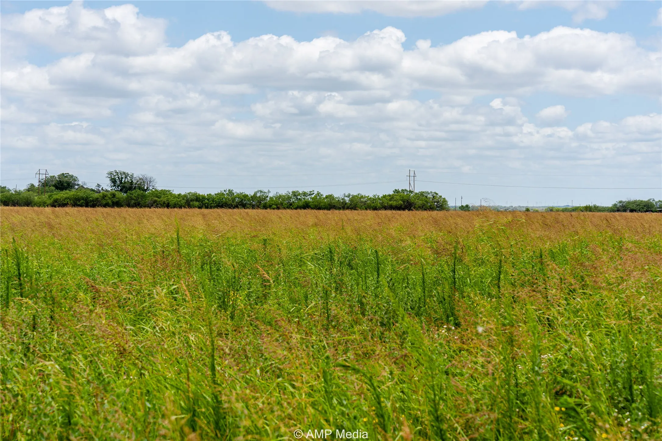 Unimproved Land For Sale in Jones County , tbd FM 1082 Highway, Hawley, Texas 79525, 0, 0, Garage spaces, 0 Sqft, built in 0, mls#21389247, Real Estate Agent in Hawley, Homes For Sale in Jones county, Homes For Sale in Hawley, Realtor in Hawley Texas, Real Estate Brokerage Independent Realty Texas, Luminita Cordes Realtor