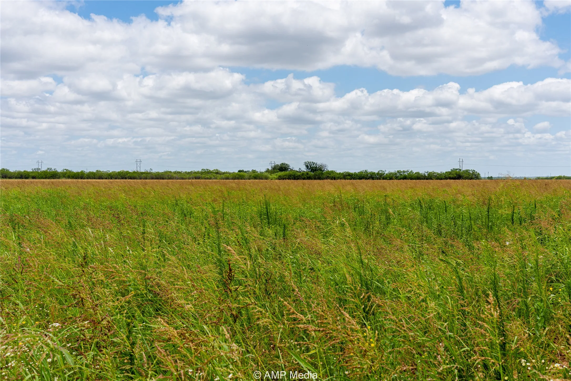 Unimproved Land For Sale in Jones County , tbd FM 1082 Highway, Hawley, Texas 79525, 0, 0, Garage spaces, 0 Sqft, built in 0, mls#21389247, Real Estate Agent in Hawley, Homes For Sale in Jones county, Homes For Sale in Hawley, Realtor in Hawley Texas, Real Estate Brokerage Independent Realty Texas, Luminita Cordes Realtor