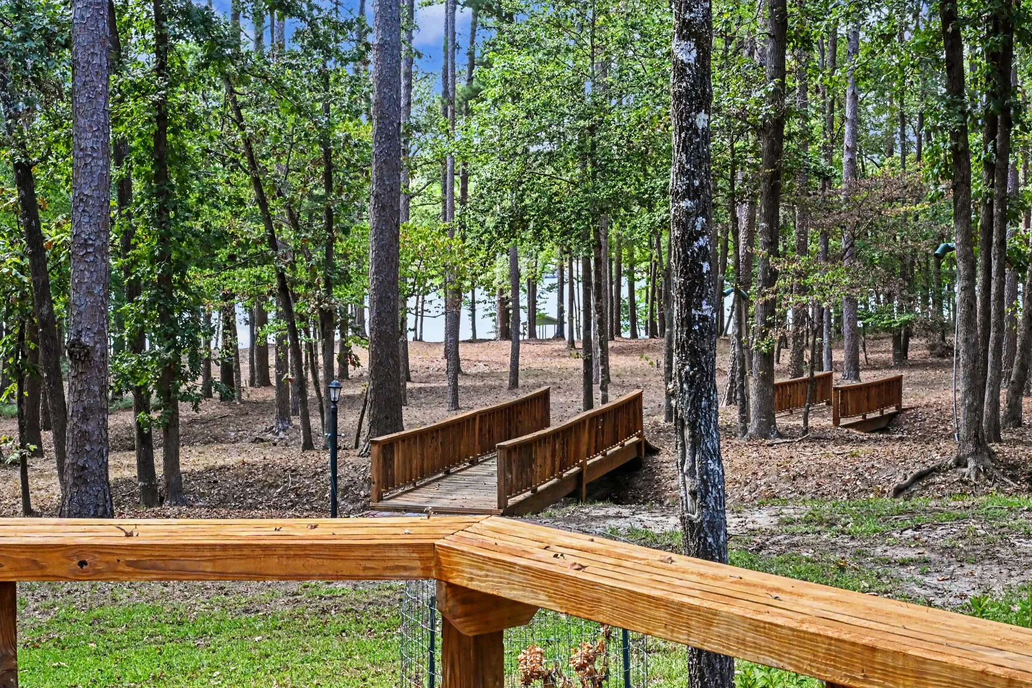 Illuminated pathway and bridges leading to lake