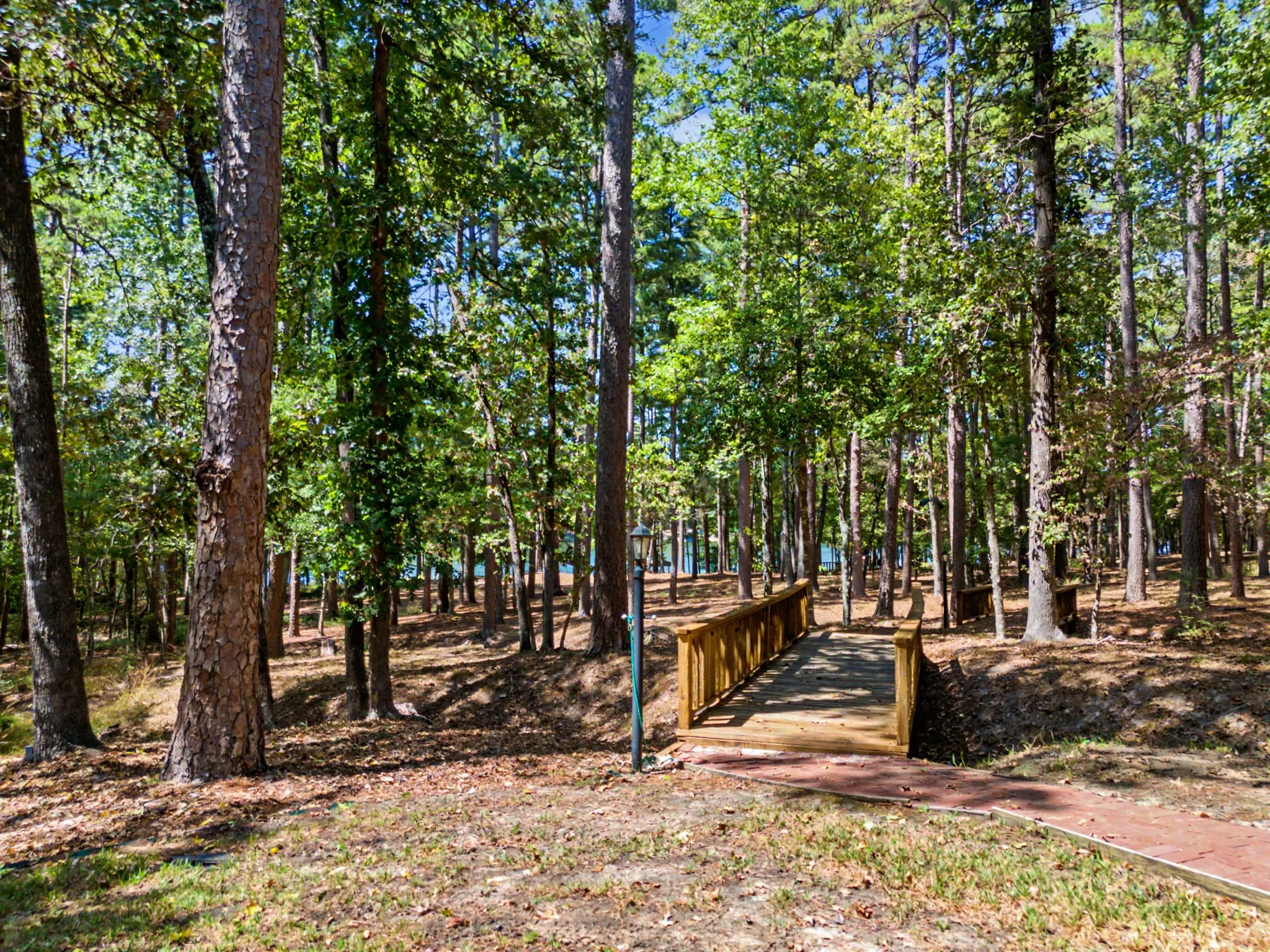 Wooden bridge leading out to the lake
