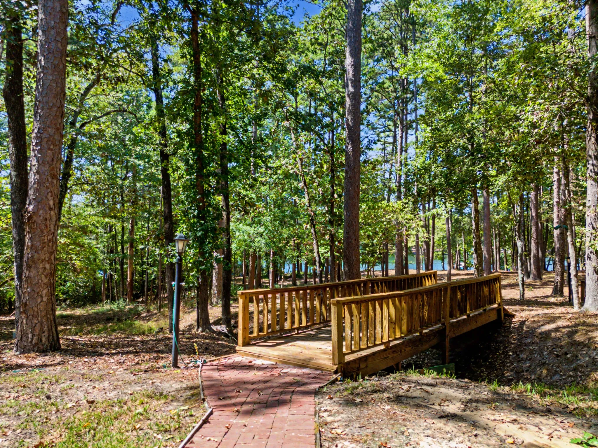 Tree canopy raised to have a clear view of lake