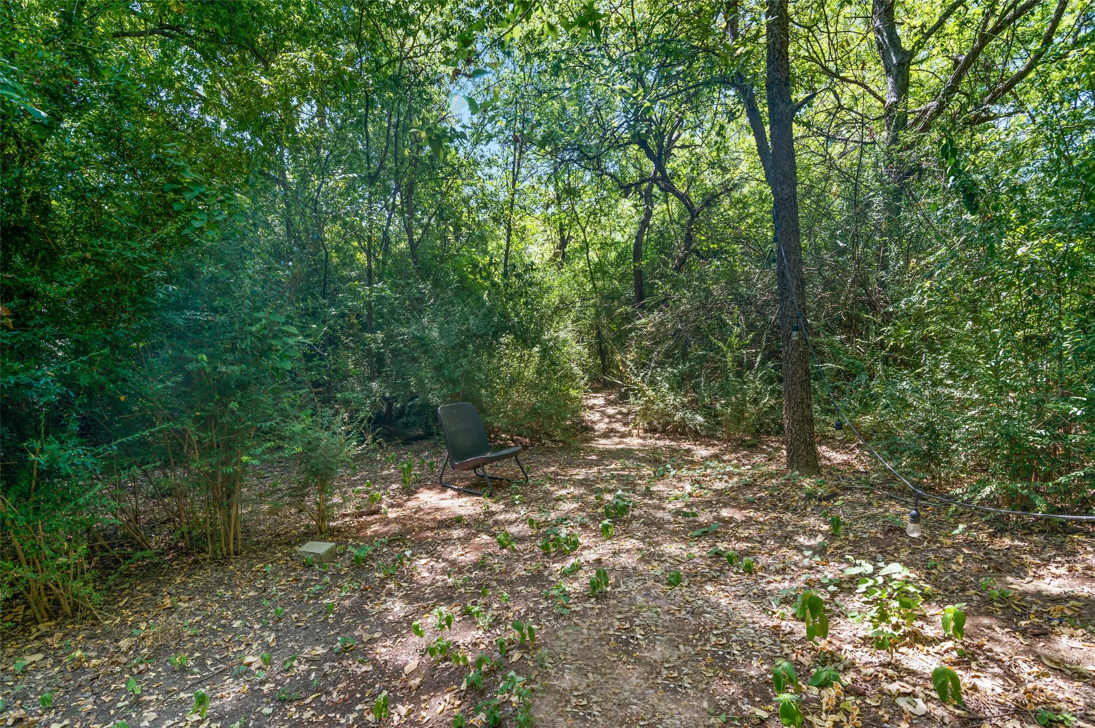 Single Family Residence For Rent in Denton County , 2220 Burning Tree Lane, Denton, Texas 76209, 4 Bedroom, 2 Bathroom, Garage spaces, 1,654 Sqft, built in 2012, mls#21389252, Real Estate Agent in Denton, Homes For Rent in Denton county, Homes For Rent in Denton, Realtor in Denton Texas, Real Estate Brokerage Independent Realty Texas, Luminita Cordes Realtor