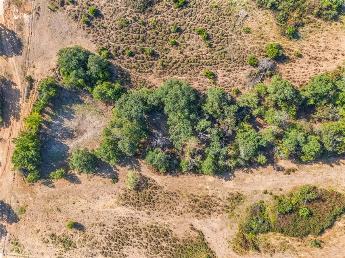 Unimproved Land For Sale in Parker County , 1101 Hodges Road, Poolville, Texas 76487, 0, 0, Garage spaces, 0 Sqft, built in 0, mls#21387102, Real Estate Agent in Poolville, Homes For Sale in Parker county, Homes For Sale in Poolville, Realtor in Poolville Texas, Real Estate Brokerage Independent Realty Texas, Luminita Cordes Realtor