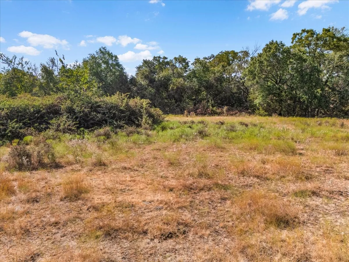 Unimproved Land For Sale in Parker County , 1101 Hodges Road, Poolville, Texas 76487, 0, 0, Garage spaces, 0 Sqft, built in 0, mls#21387102, Real Estate Agent in Poolville, Homes For Sale in Parker county, Homes For Sale in Poolville, Realtor in Poolville Texas, Real Estate Brokerage Independent Realty Texas, Luminita Cordes Realtor