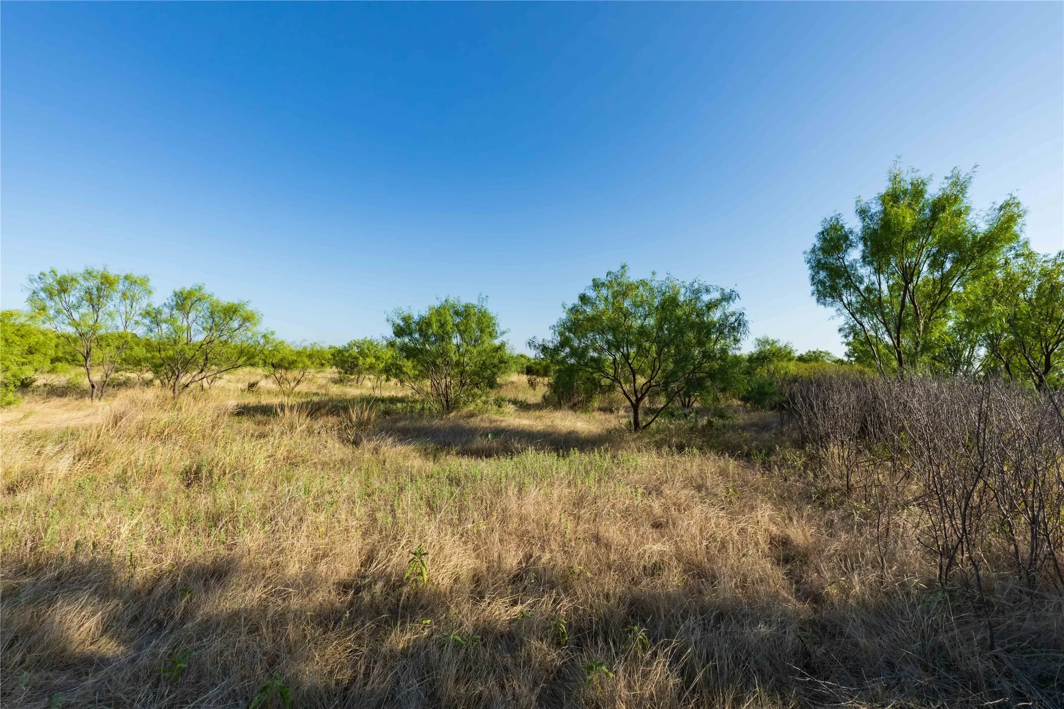 Unimproved Land For Sale in Taylor County , TBD CR 250 County Road 250, Ovalo, Texas 79541, 0, 0, Garage spaces, 0 Sqft, built in 0, mls#21389261, Real Estate Agent in Ovalo, Homes For Sale in Taylor county, Homes For Sale in Ovalo, Realtor in Ovalo Texas, Real Estate Brokerage Independent Realty Texas, Luminita Cordes Realtor