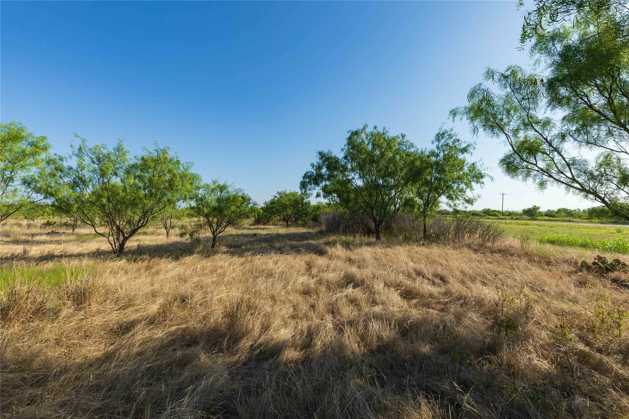 Unimproved Land For Sale in Taylor County , TBD CR 250 County Road 250, Ovalo, Texas 79541, 0, 0, Garage spaces, 0 Sqft, built in 0, mls#21389261, Real Estate Agent in Ovalo, Homes For Sale in Taylor county, Homes For Sale in Ovalo, Realtor in Ovalo Texas, Real Estate Brokerage Independent Realty Texas, Luminita Cordes Realtor