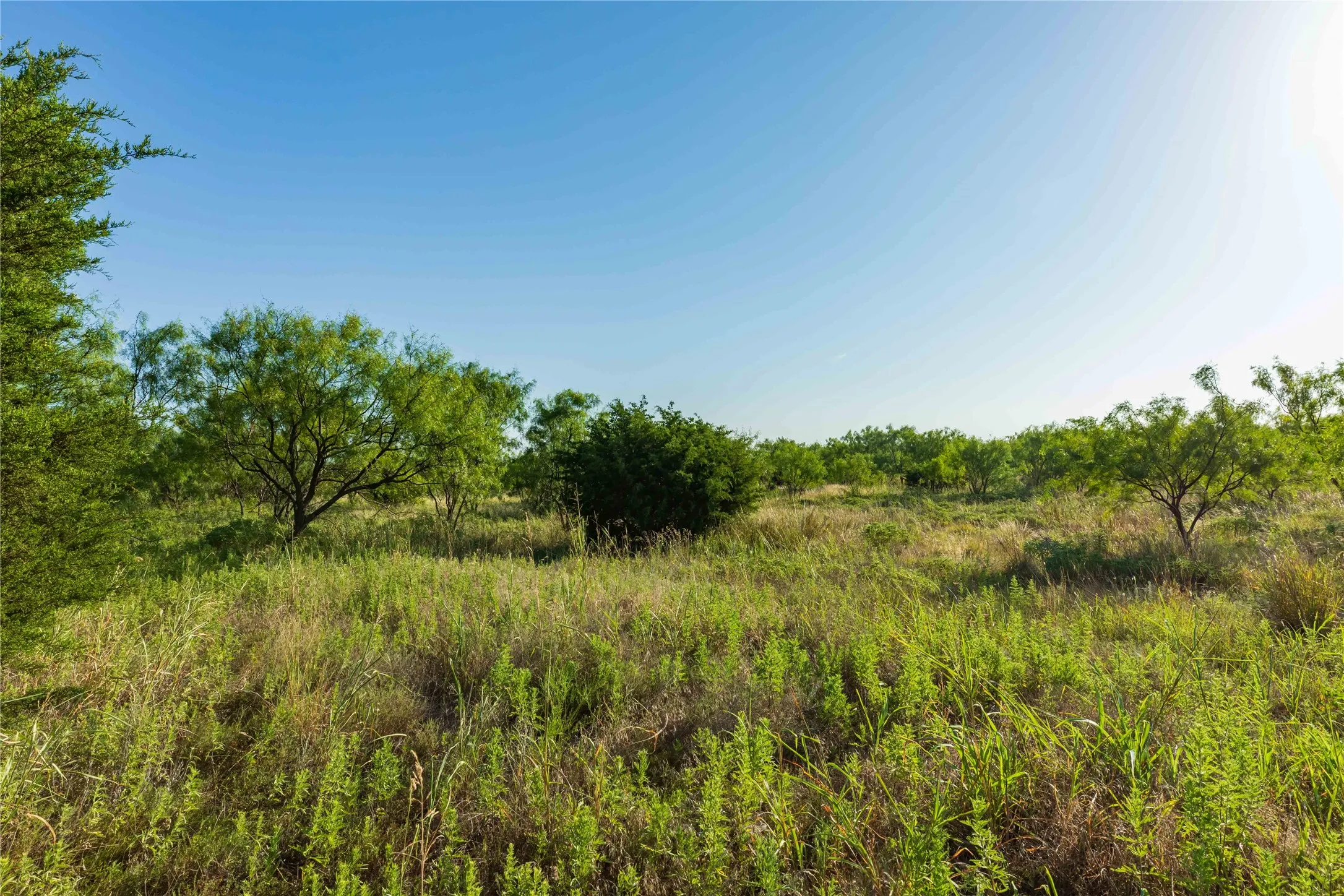 Unimproved Land For Sale in Taylor County , TBD CR 250 County Road 250, Ovalo, Texas 79541, 0, 0, Garage spaces, 0 Sqft, built in 0, mls#21389261, Real Estate Agent in Ovalo, Homes For Sale in Taylor county, Homes For Sale in Ovalo, Realtor in Ovalo Texas, Real Estate Brokerage Independent Realty Texas, Luminita Cordes Realtor