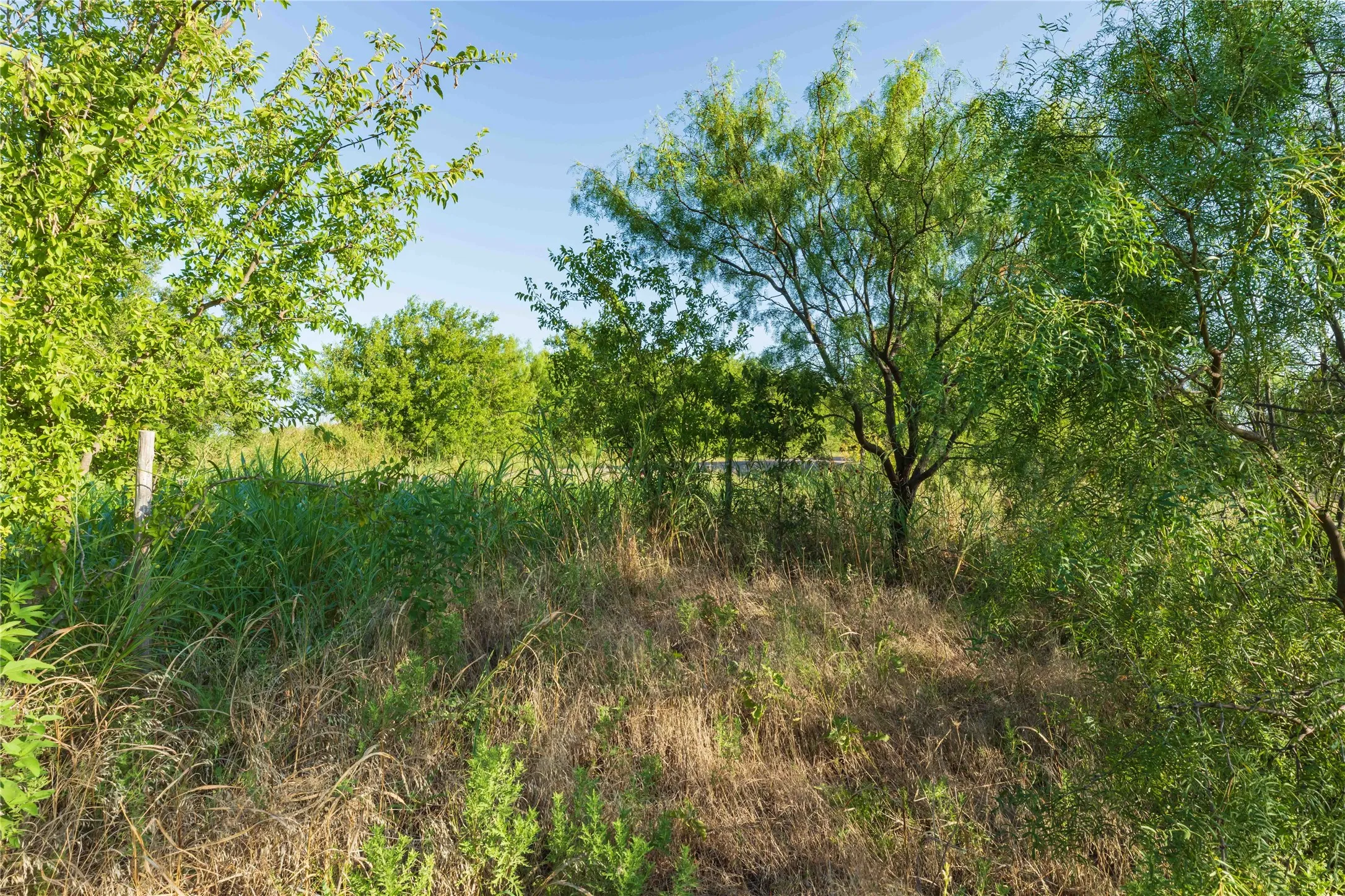 Unimproved Land For Sale in Taylor County , TBD CR 250 County Road 250, Ovalo, Texas 79541, 0, 0, Garage spaces, 0 Sqft, built in 0, mls#21389261, Real Estate Agent in Ovalo, Homes For Sale in Taylor county, Homes For Sale in Ovalo, Realtor in Ovalo Texas, Real Estate Brokerage Independent Realty Texas, Luminita Cordes Realtor