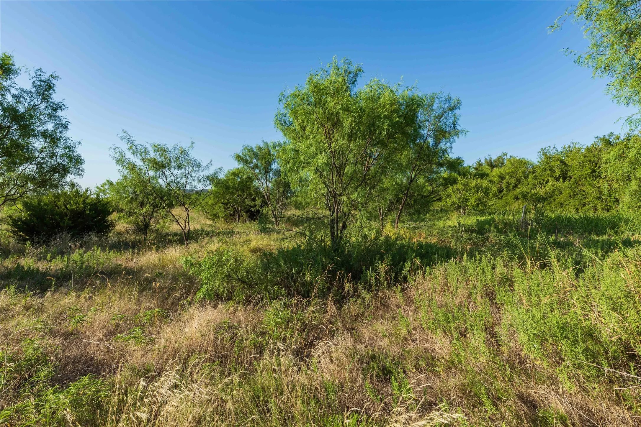 Unimproved Land For Sale in Taylor County , TBD CR 250 County Road 250, Ovalo, Texas 79541, 0, 0, Garage spaces, 0 Sqft, built in 0, mls#21389261, Real Estate Agent in Ovalo, Homes For Sale in Taylor county, Homes For Sale in Ovalo, Realtor in Ovalo Texas, Real Estate Brokerage Independent Realty Texas, Luminita Cordes Realtor