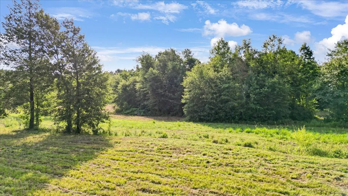 Single Family Residence For Sale in Upshur County , 102 Private Road 3174, Gilmer, Texas 75644, 4 Bedroom, 3 Bathroom, Garage spaces, 2,676 Sqft, built in 1985, mls#21389266, Real Estate Agent in Gilmer, Homes For Sale in Upshur county, Homes For Sale in Gilmer, Realtor in Gilmer Texas, Real Estate Brokerage Independent Realty Texas, Luminita Cordes Realtor