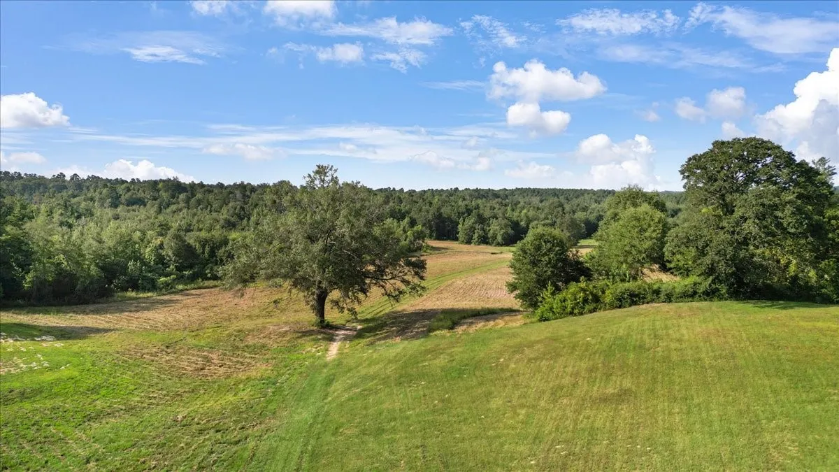 Single Family Residence For Sale in Upshur County , 102 Private Road 3174, Gilmer, Texas 75644, 4 Bedroom, 3 Bathroom, Garage spaces, 2,676 Sqft, built in 1985, mls#21389266, Real Estate Agent in Gilmer, Homes For Sale in Upshur county, Homes For Sale in Gilmer, Realtor in Gilmer Texas, Real Estate Brokerage Independent Realty Texas, Luminita Cordes Realtor