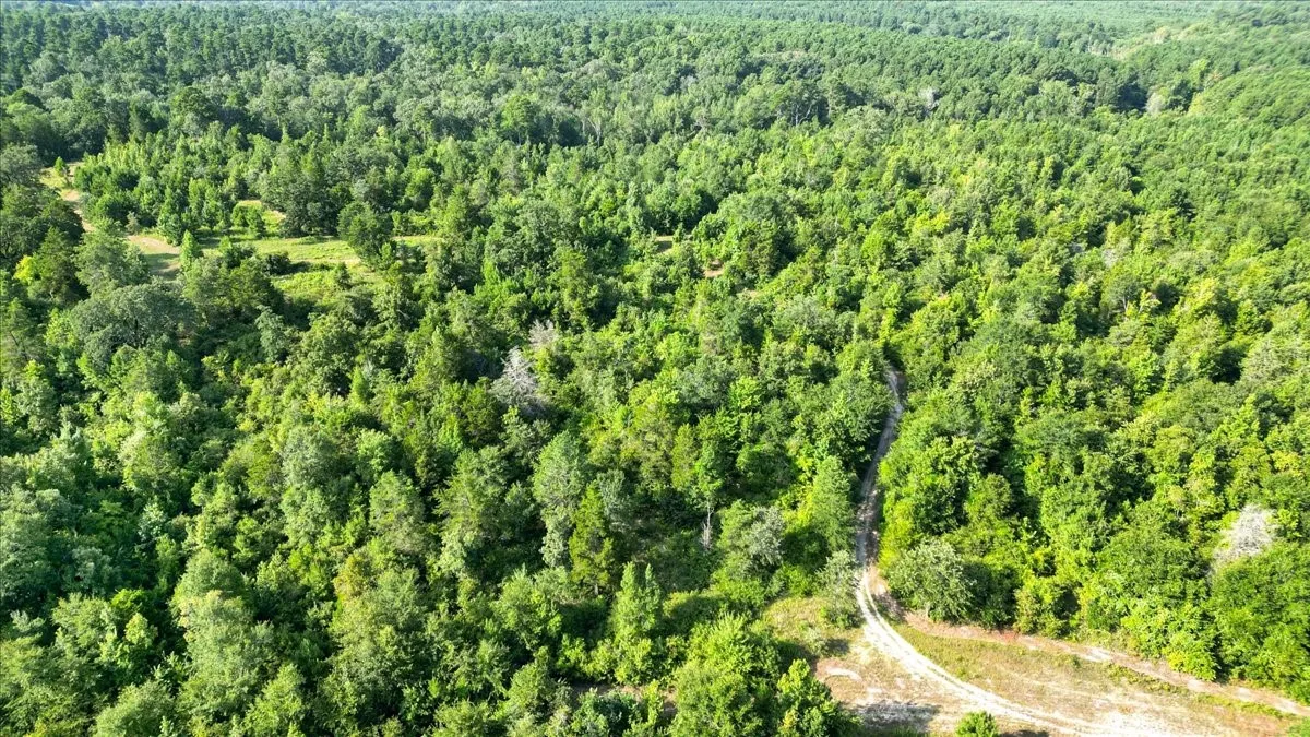 Single Family Residence For Sale in Upshur County , 102 Private Road 3174, Gilmer, Texas 75644, 4 Bedroom, 3 Bathroom, Garage spaces, 2,676 Sqft, built in 1985, mls#21389266, Real Estate Agent in Gilmer, Homes For Sale in Upshur county, Homes For Sale in Gilmer, Realtor in Gilmer Texas, Real Estate Brokerage Independent Realty Texas, Luminita Cordes Realtor