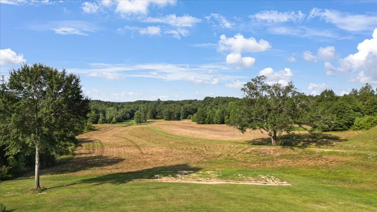 Single Family Residence For Sale in Upshur County , 102 Private Road 3174, Gilmer, Texas 75644, 4 Bedroom, 3 Bathroom, Garage spaces, 2,676 Sqft, built in 1985, mls#21389266, Real Estate Agent in Gilmer, Homes For Sale in Upshur county, Homes For Sale in Gilmer, Realtor in Gilmer Texas, Real Estate Brokerage Independent Realty Texas, Luminita Cordes Realtor