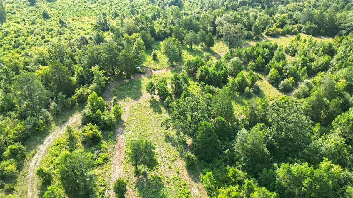 Single Family Residence For Sale in Upshur County , 102 Private Road 3174, Gilmer, Texas 75644, 4 Bedroom, 3 Bathroom, Garage spaces, 2,676 Sqft, built in 1985, mls#21389266, Real Estate Agent in Gilmer, Homes For Sale in Upshur county, Homes For Sale in Gilmer, Realtor in Gilmer Texas, Real Estate Brokerage Independent Realty Texas, Luminita Cordes Realtor