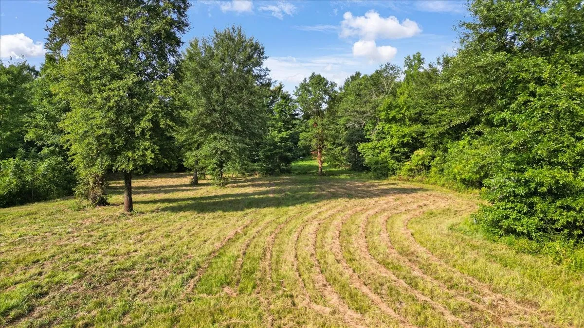 Single Family Residence For Sale in Upshur County , 102 Private Road 3174, Gilmer, Texas 75644, 4 Bedroom, 3 Bathroom, Garage spaces, 2,676 Sqft, built in 1985, mls#21389266, Real Estate Agent in Gilmer, Homes For Sale in Upshur county, Homes For Sale in Gilmer, Realtor in Gilmer Texas, Real Estate Brokerage Independent Realty Texas, Luminita Cordes Realtor