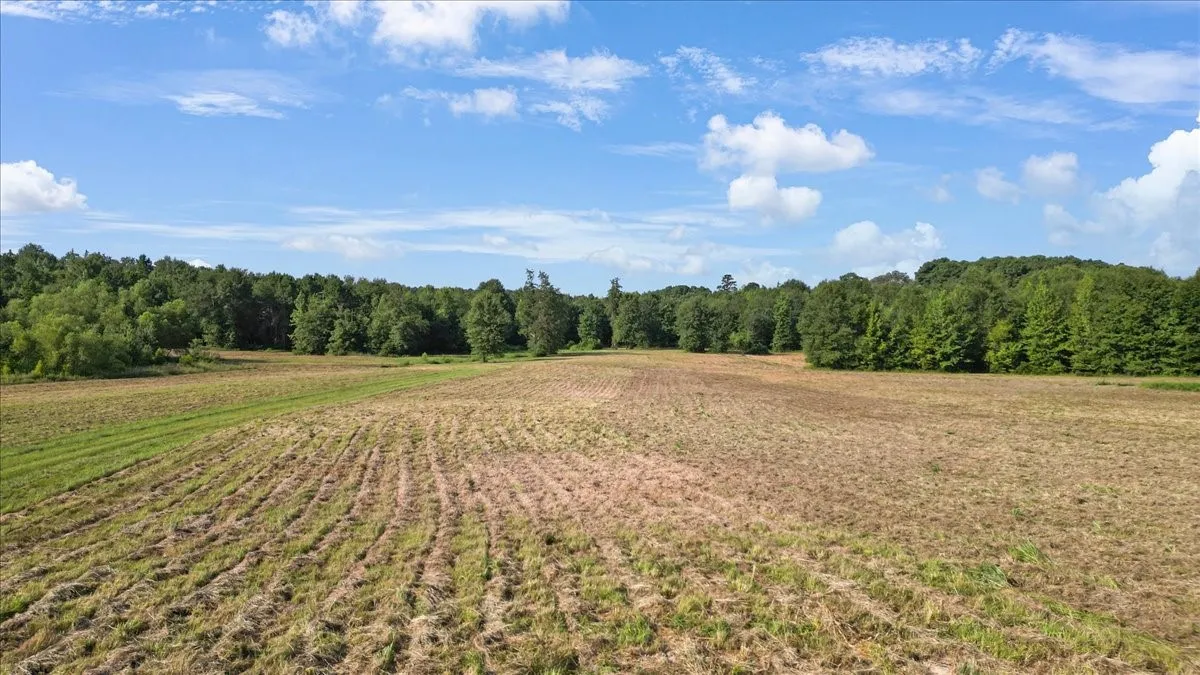 Single Family Residence For Sale in Upshur County , 102 Private Road 3174, Gilmer, Texas 75644, 4 Bedroom, 3 Bathroom, Garage spaces, 2,676 Sqft, built in 1985, mls#21389266, Real Estate Agent in Gilmer, Homes For Sale in Upshur county, Homes For Sale in Gilmer, Realtor in Gilmer Texas, Real Estate Brokerage Independent Realty Texas, Luminita Cordes Realtor