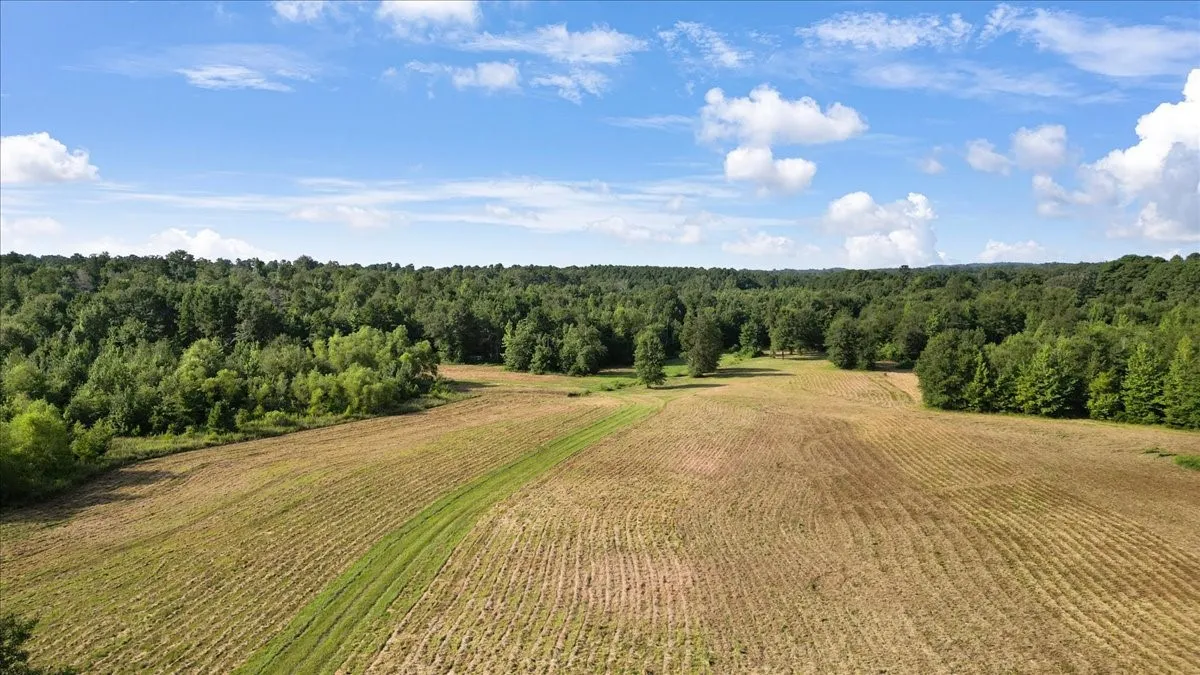 Single Family Residence For Sale in Upshur County , 102 Private Road 3174, Gilmer, Texas 75644, 4 Bedroom, 3 Bathroom, Garage spaces, 2,676 Sqft, built in 1985, mls#21389266, Real Estate Agent in Gilmer, Homes For Sale in Upshur county, Homes For Sale in Gilmer, Realtor in Gilmer Texas, Real Estate Brokerage Independent Realty Texas, Luminita Cordes Realtor