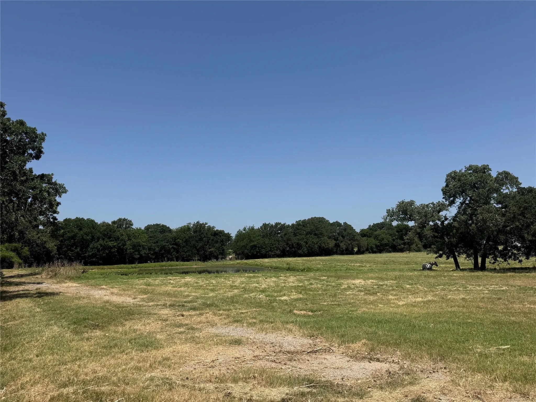 Single Family Residence For Sale in Wise County , 4163 FM-730, Decatur, Texas 76234, 4 Bedroom, 6 Bathroom, 3 Garage spaces, 6,842 Sqft, built in 2005, mls#21389262, Real Estate Agent in Decatur, Homes For Sale in Wise county, Homes For Sale in Decatur, Realtor in Decatur Texas, Real Estate Brokerage Independent Realty Texas, Luminita Cordes Realtor