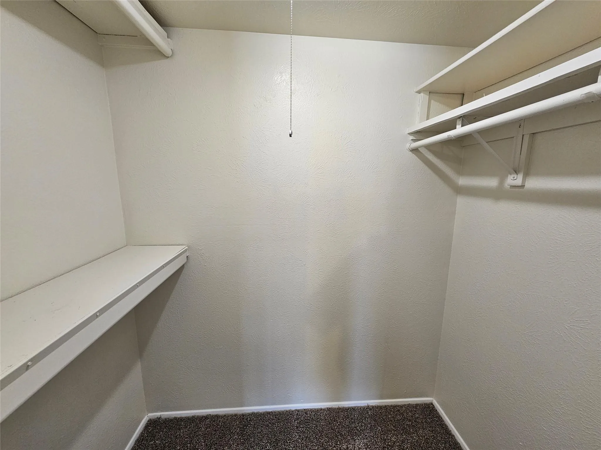 Built-in shelving, integrated hanging rod, and carpet flooring