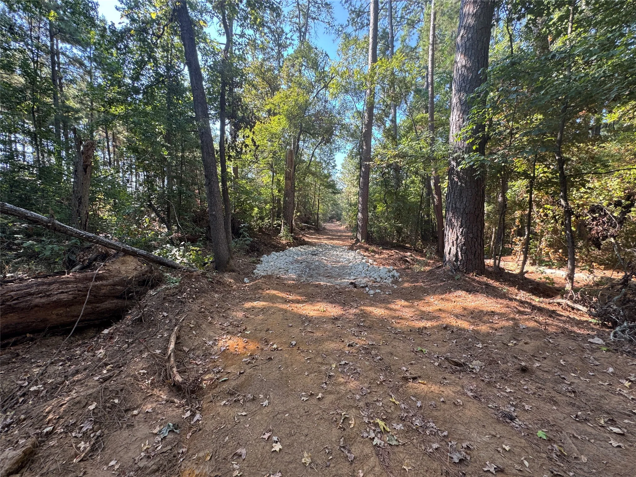 Unimproved Land For Sale in Anderson County , 627 N U S HWY 287, Elkhart, Texas 75839, 0, 0, Garage spaces, 0 Sqft, built in 0, mls#21389336, Real Estate Agent in Elkhart, Homes For Sale in Anderson county, Homes For Sale in Elkhart, Realtor in Elkhart Texas, Real Estate Brokerage Independent Realty Texas, Luminita Cordes Realtor