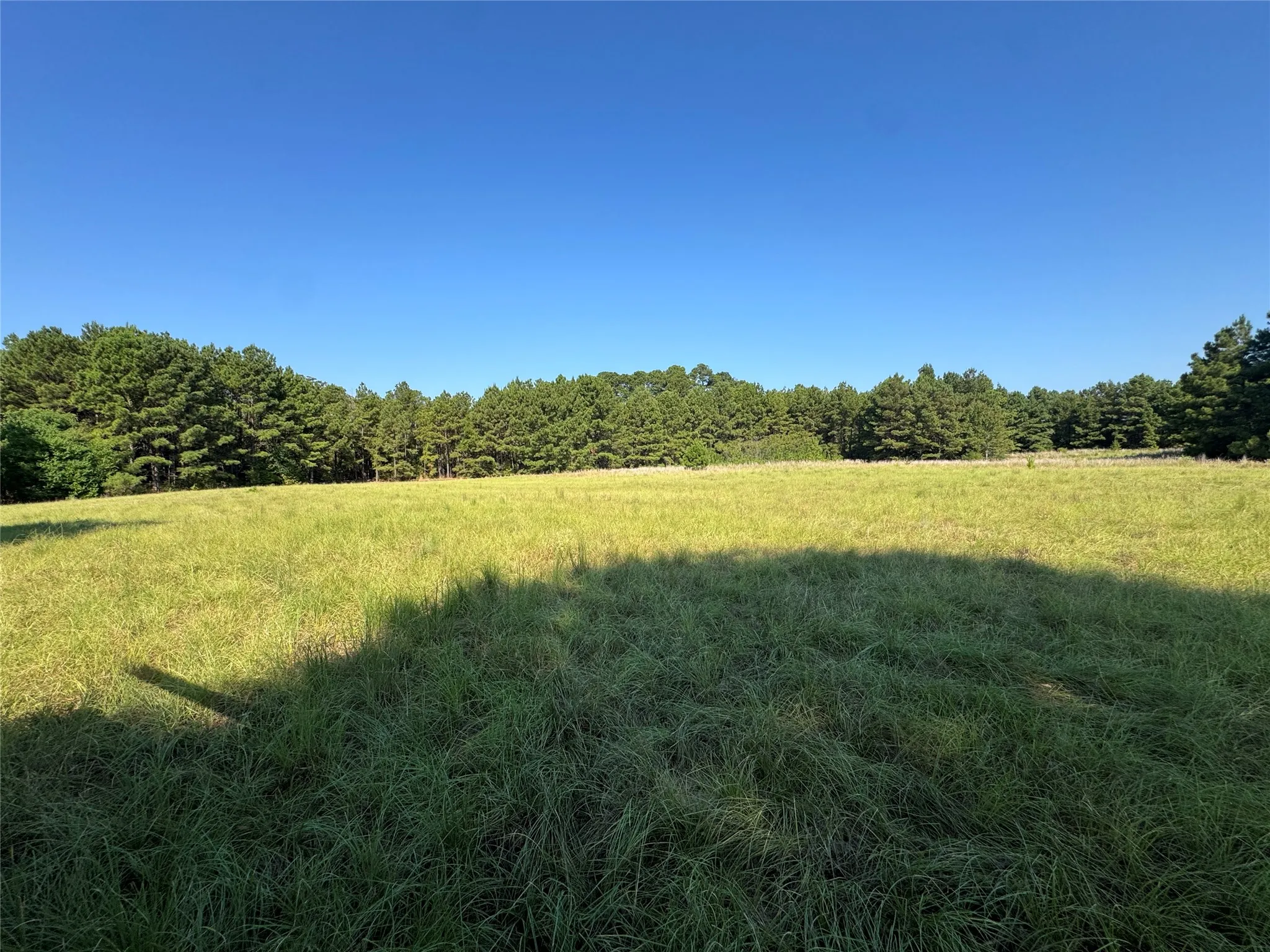 Unimproved Land For Sale in Anderson County , 627 N U S HWY 287, Elkhart, Texas 75839, 0, 0, Garage spaces, 0 Sqft, built in 0, mls#21389336, Real Estate Agent in Elkhart, Homes For Sale in Anderson county, Homes For Sale in Elkhart, Realtor in Elkhart Texas, Real Estate Brokerage Independent Realty Texas, Luminita Cordes Realtor