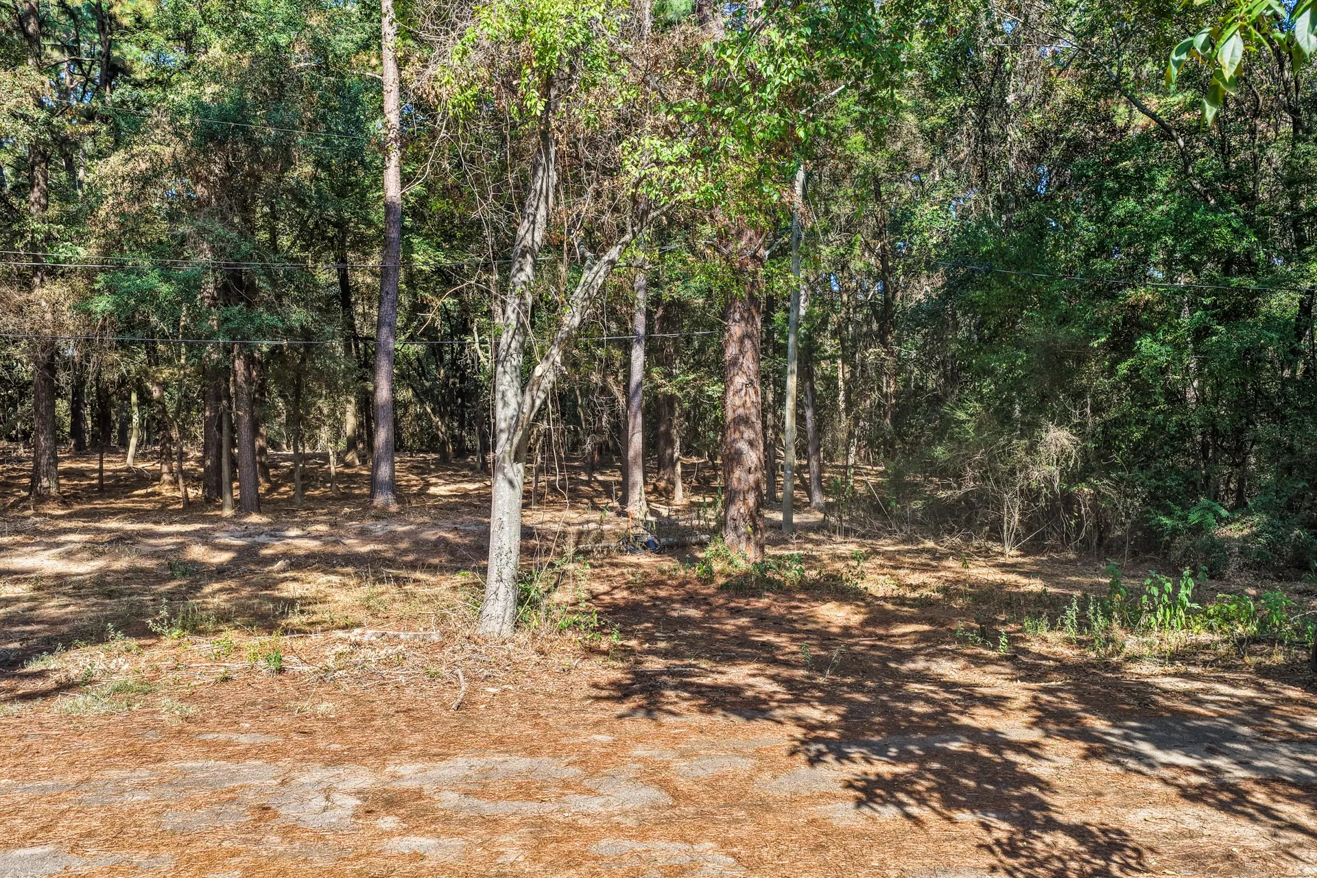 Unimproved Land For Sale in Camp County , TBD Lockhart, Pittsburg, Texas 75686, 0, 0, Garage spaces, 0 Sqft, built in 0, mls#21389327, Real Estate Agent in Pittsburg, Homes For Sale in Camp county, Homes For Sale in Pittsburg, Realtor in Pittsburg Texas, Real Estate Brokerage Independent Realty Texas, Luminita Cordes Realtor