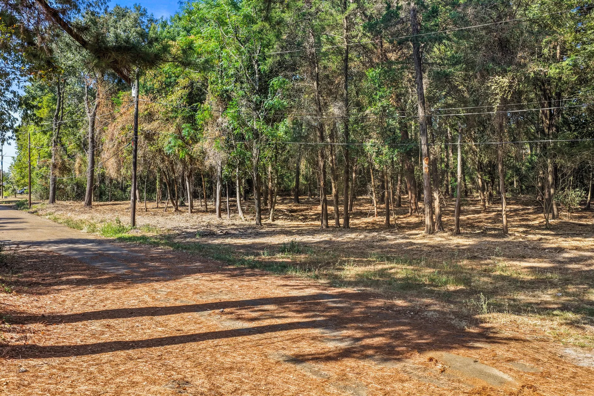 Unimproved Land For Sale in Camp County , TBD Lockhart, Pittsburg, Texas 75686, 0, 0, Garage spaces, 0 Sqft, built in 0, mls#21389327, Real Estate Agent in Pittsburg, Homes For Sale in Camp county, Homes For Sale in Pittsburg, Realtor in Pittsburg Texas, Real Estate Brokerage Independent Realty Texas, Luminita Cordes Realtor