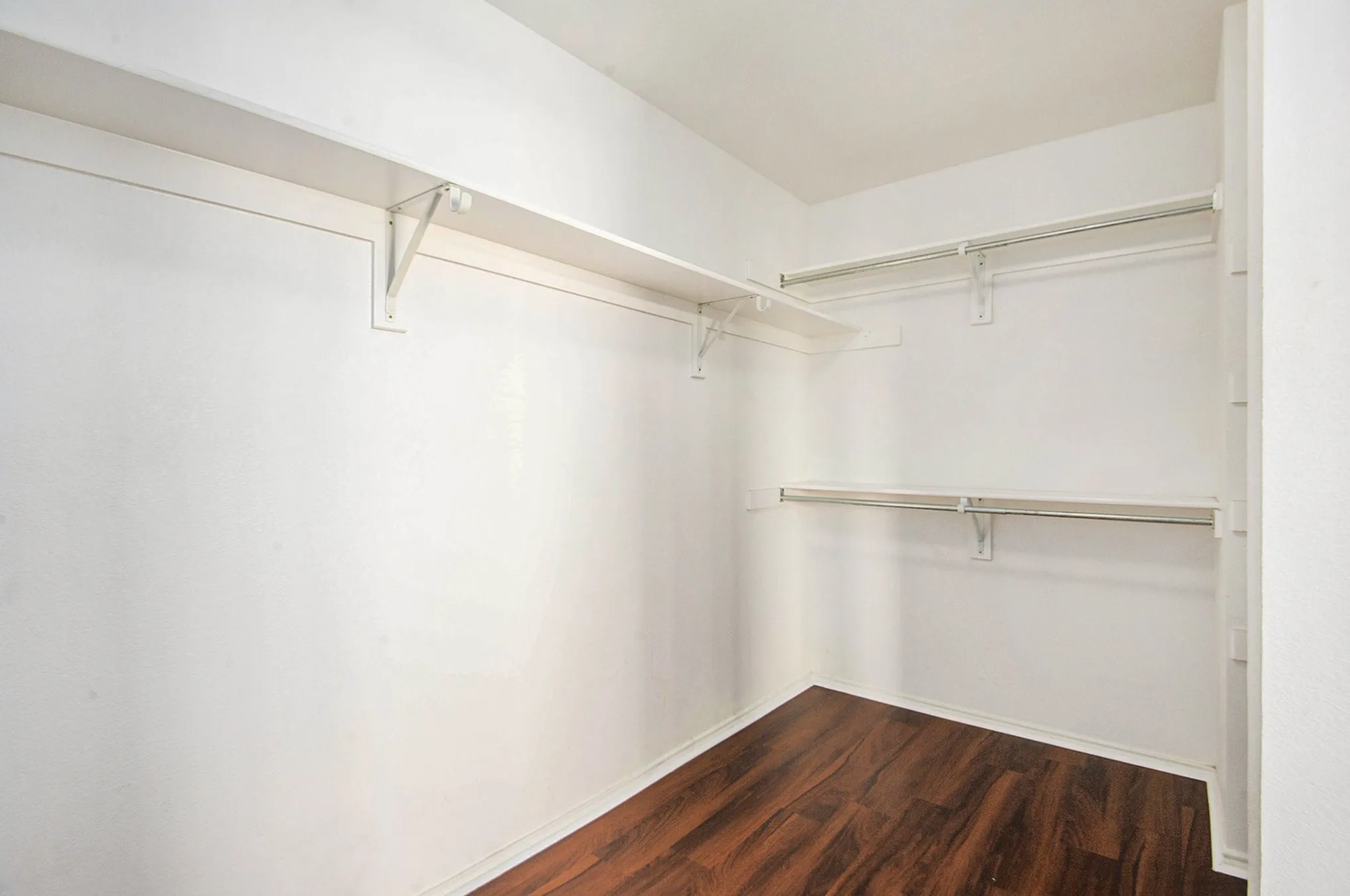 Spacious closet featuring dark wood-style floors