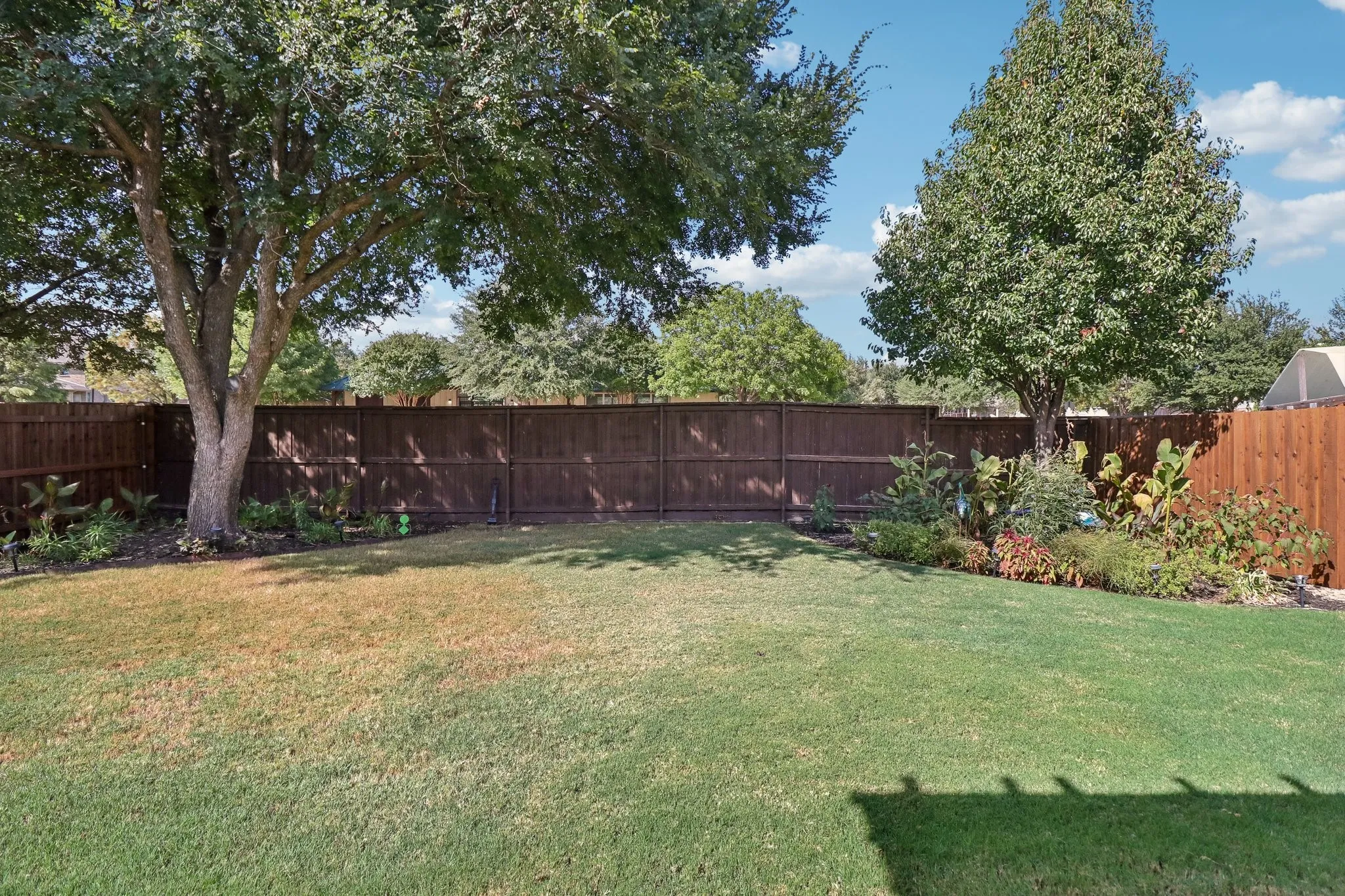 Landscaped Backyard