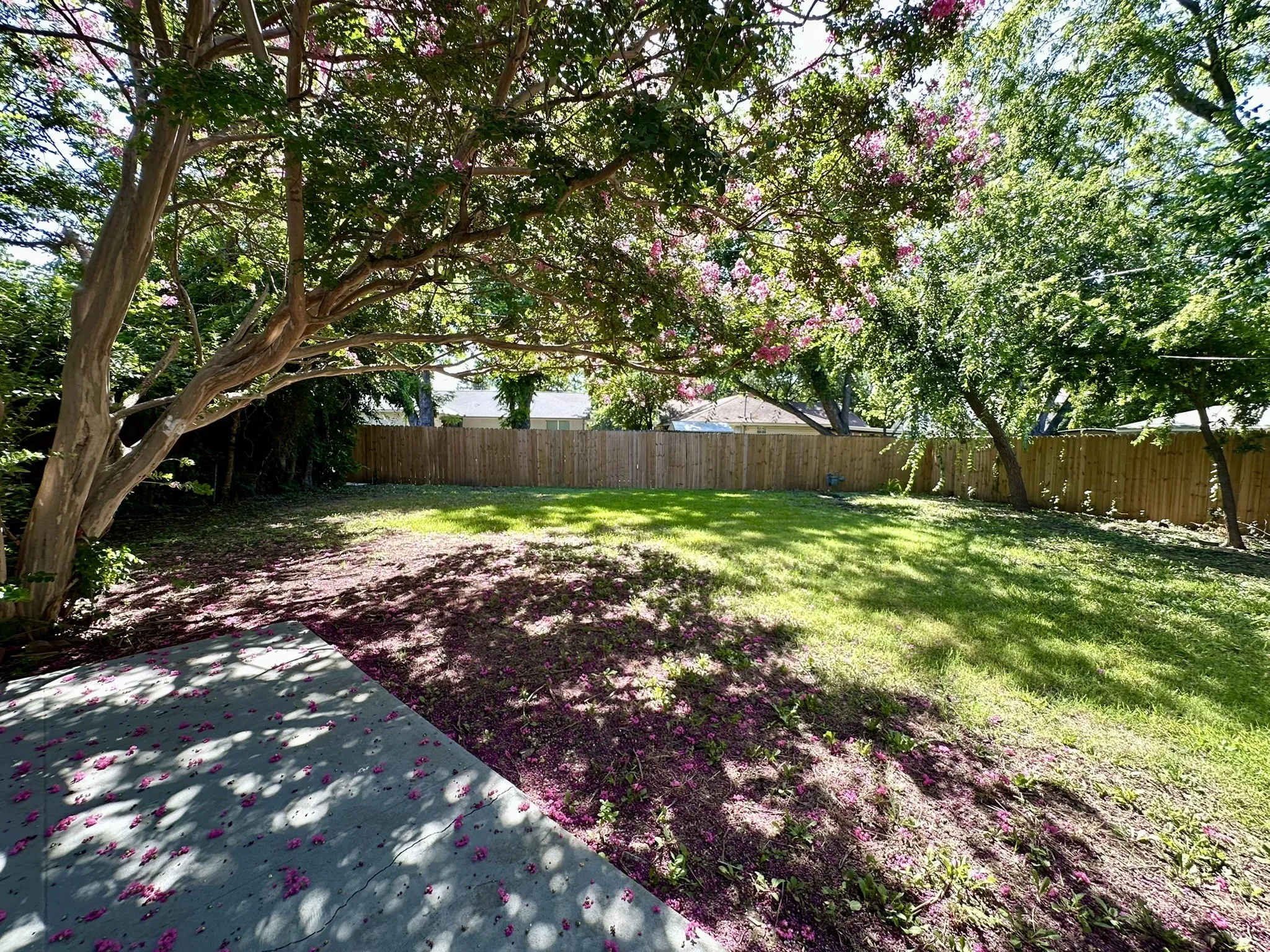 Single Family Residence For Rent in Dallas County , 509 Dover Drive, Richardson, Texas 75080, 3 Bedroom, 2 Bathroom, 2 Garage spaces, 1,216 Sqft, built in 1958, mls#21389365, Real Estate Agent in Richardson, Homes For Rent in Dallas county, Homes For Rent in Richardson, Realtor in Richardson Texas, Real Estate Brokerage Independent Realty Texas, Luminita Cordes Realtor