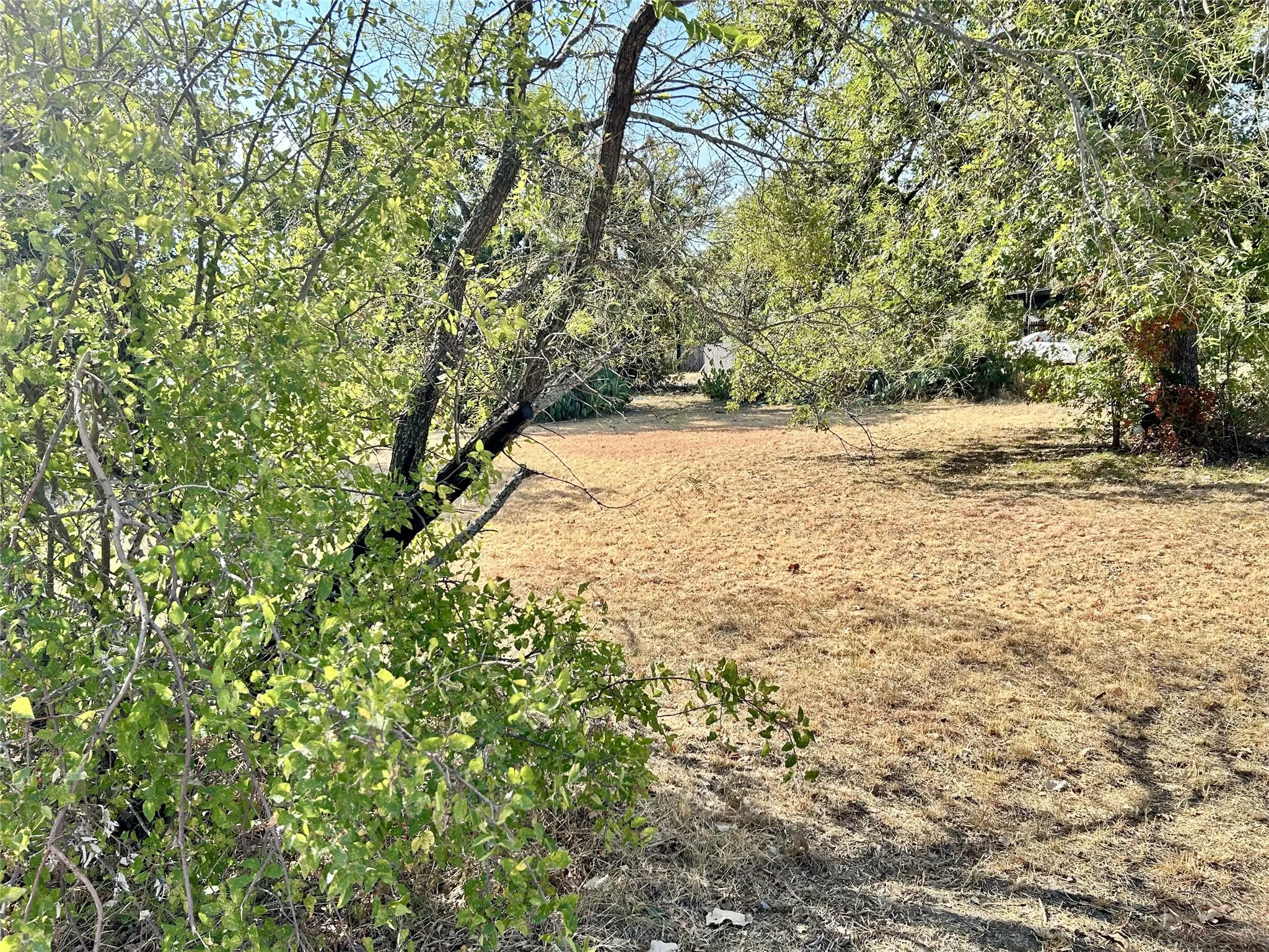 Unimproved Land For Sale in Brown County , 2406 Avenue D, Brownwood, Texas 76801, 0, 0, Garage spaces, 0 Sqft, built in 0, mls#21389320, Real Estate Agent in Brownwood, Homes For Sale in Brown county, Homes For Sale in Brownwood, Realtor in Brownwood Texas, Real Estate Brokerage Independent Realty Texas, Luminita Cordes Realtor