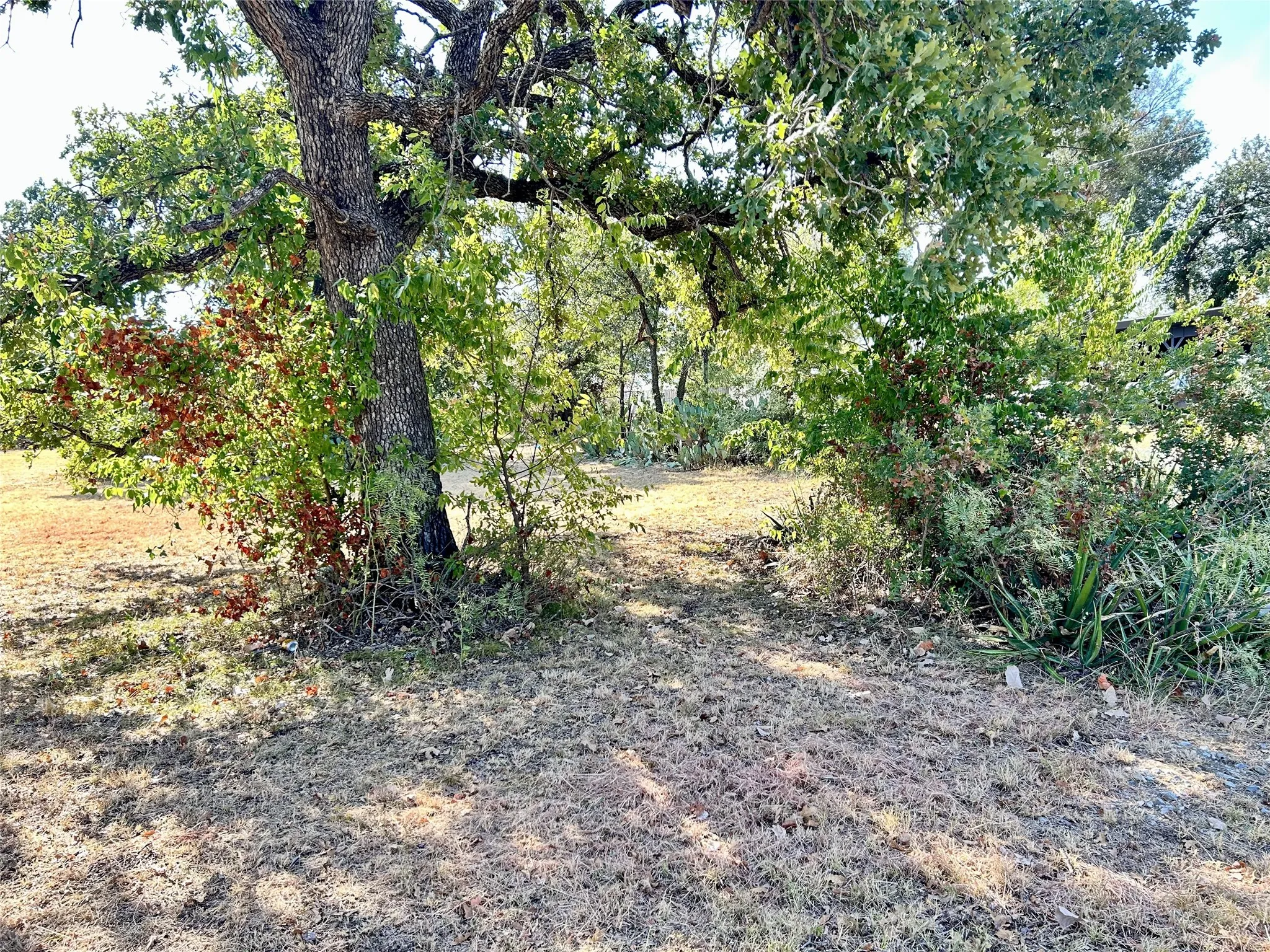 Unimproved Land For Sale in Brown County , 2406 Avenue D, Brownwood, Texas 76801, 0, 0, Garage spaces, 0 Sqft, built in 0, mls#21389320, Real Estate Agent in Brownwood, Homes For Sale in Brown county, Homes For Sale in Brownwood, Realtor in Brownwood Texas, Real Estate Brokerage Independent Realty Texas, Luminita Cordes Realtor