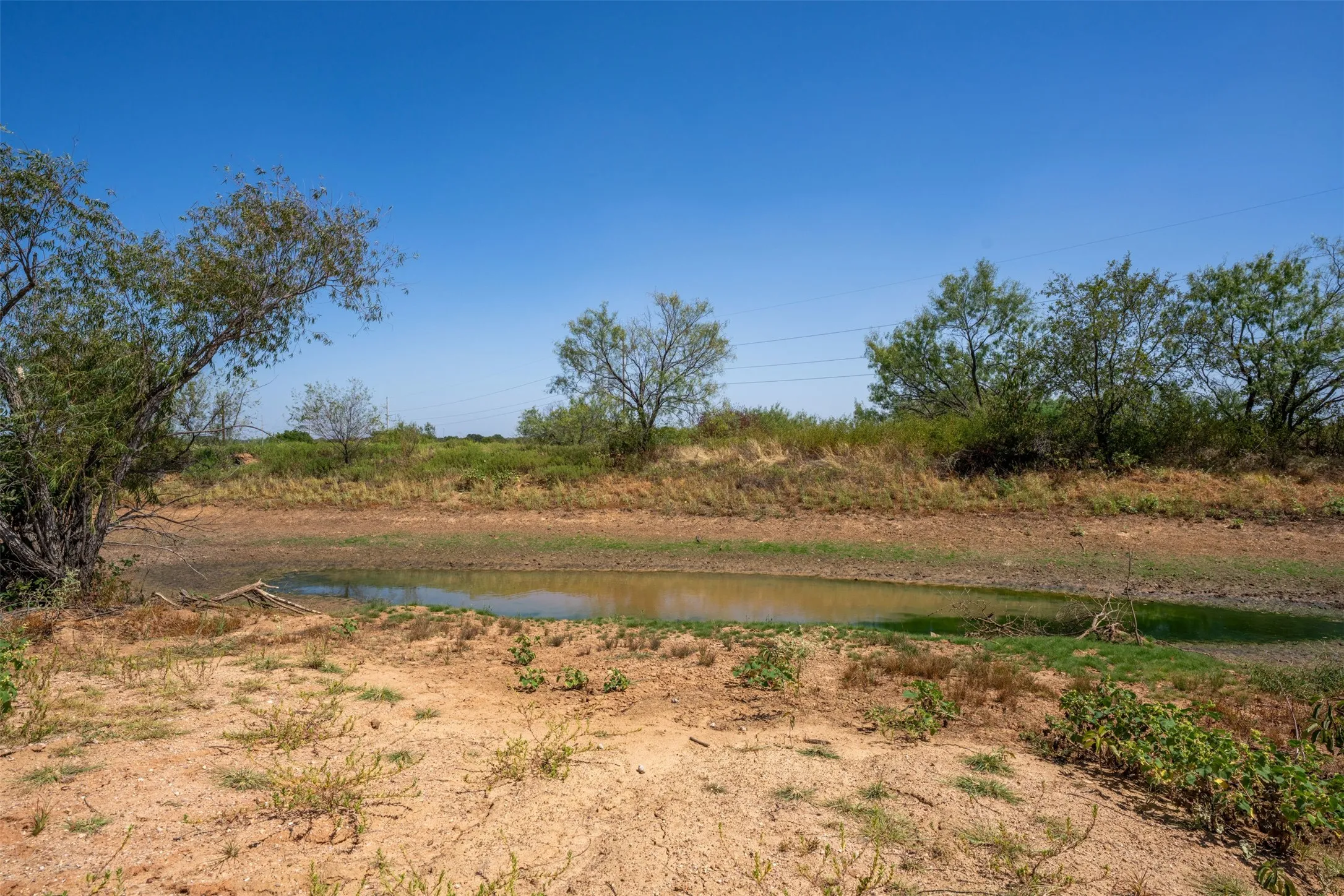 Natural landscape with scattered trees and a water feature