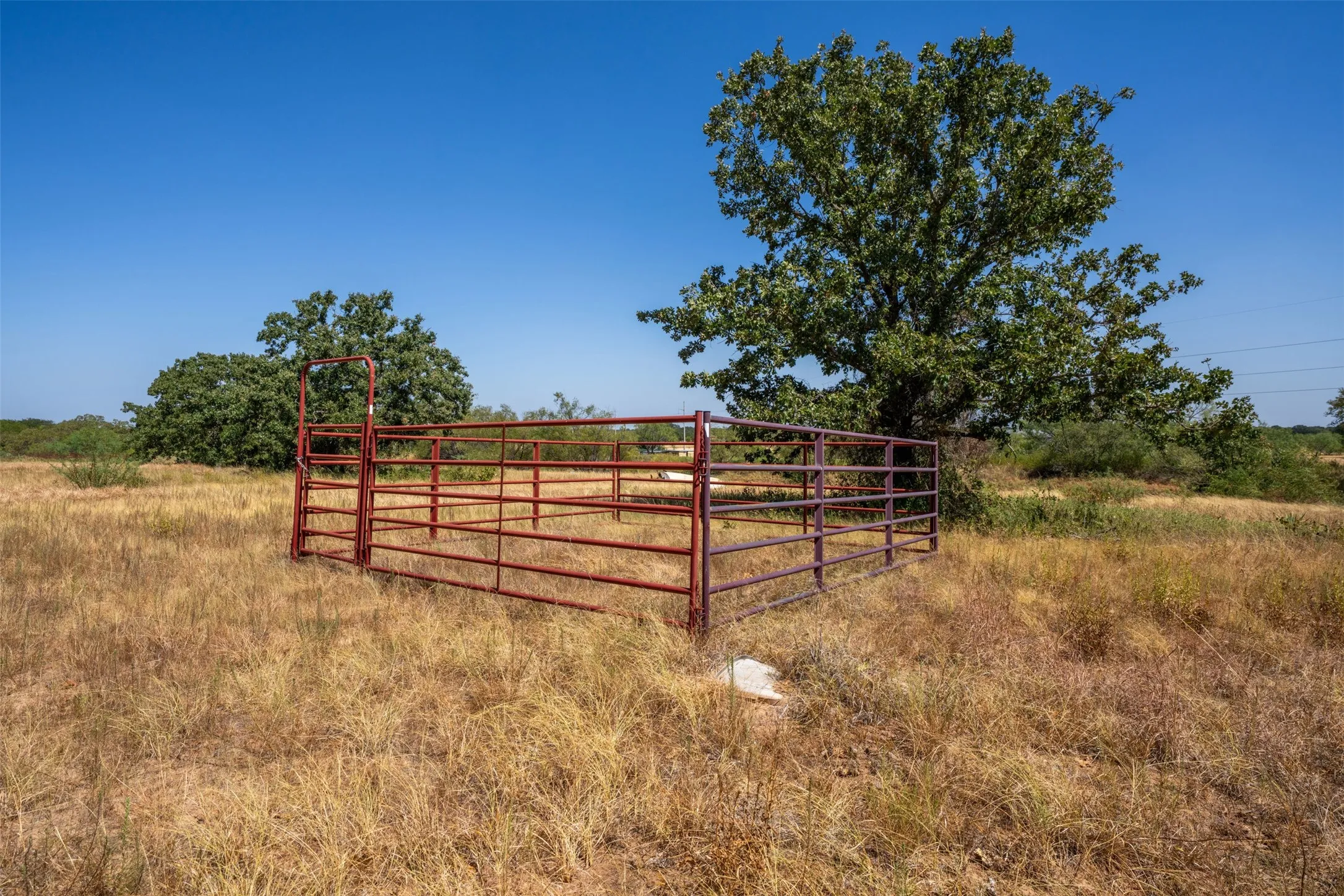 Expansive open land with established trees and a metal fence enclosure