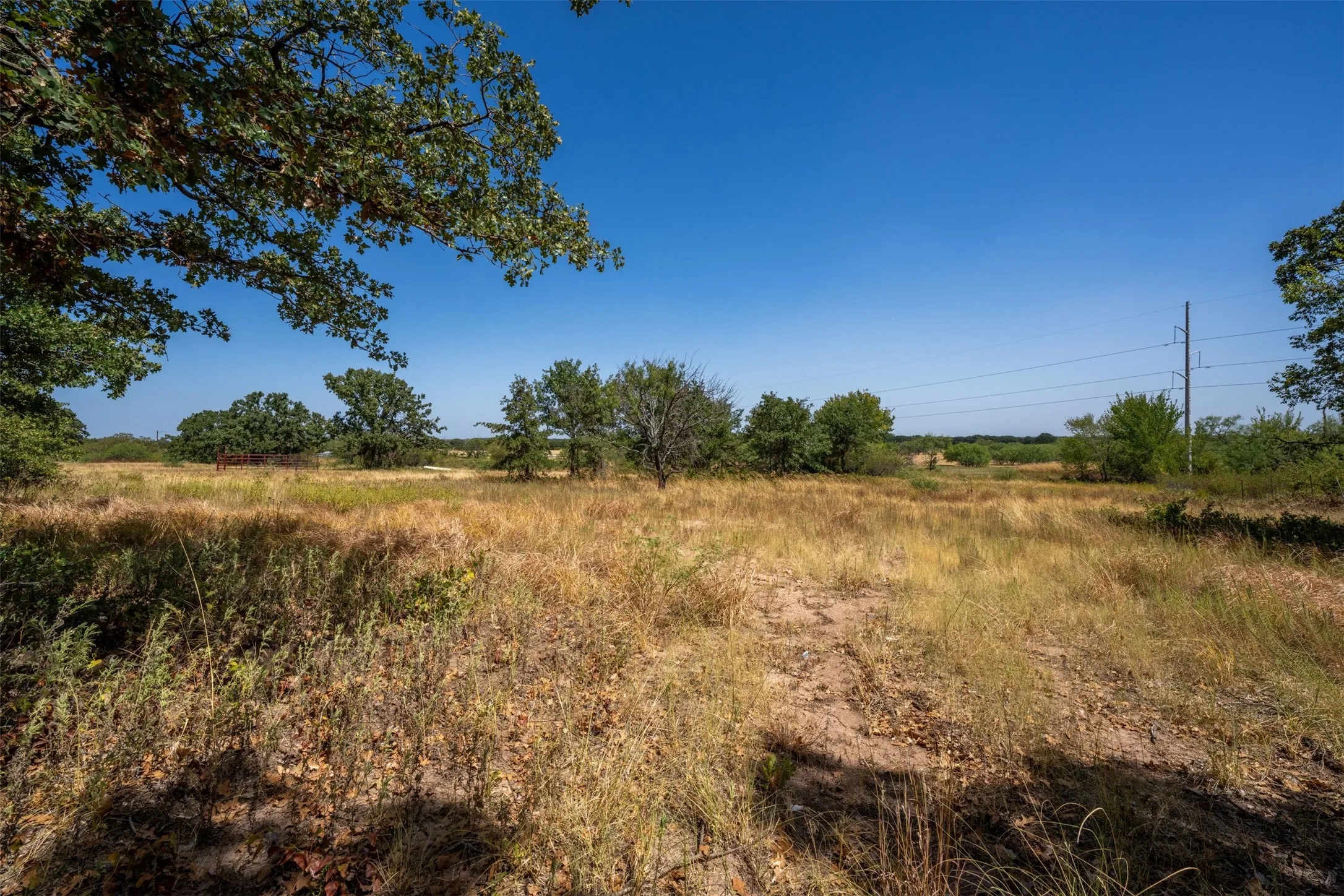 Open land with natural vegetation and mature trees