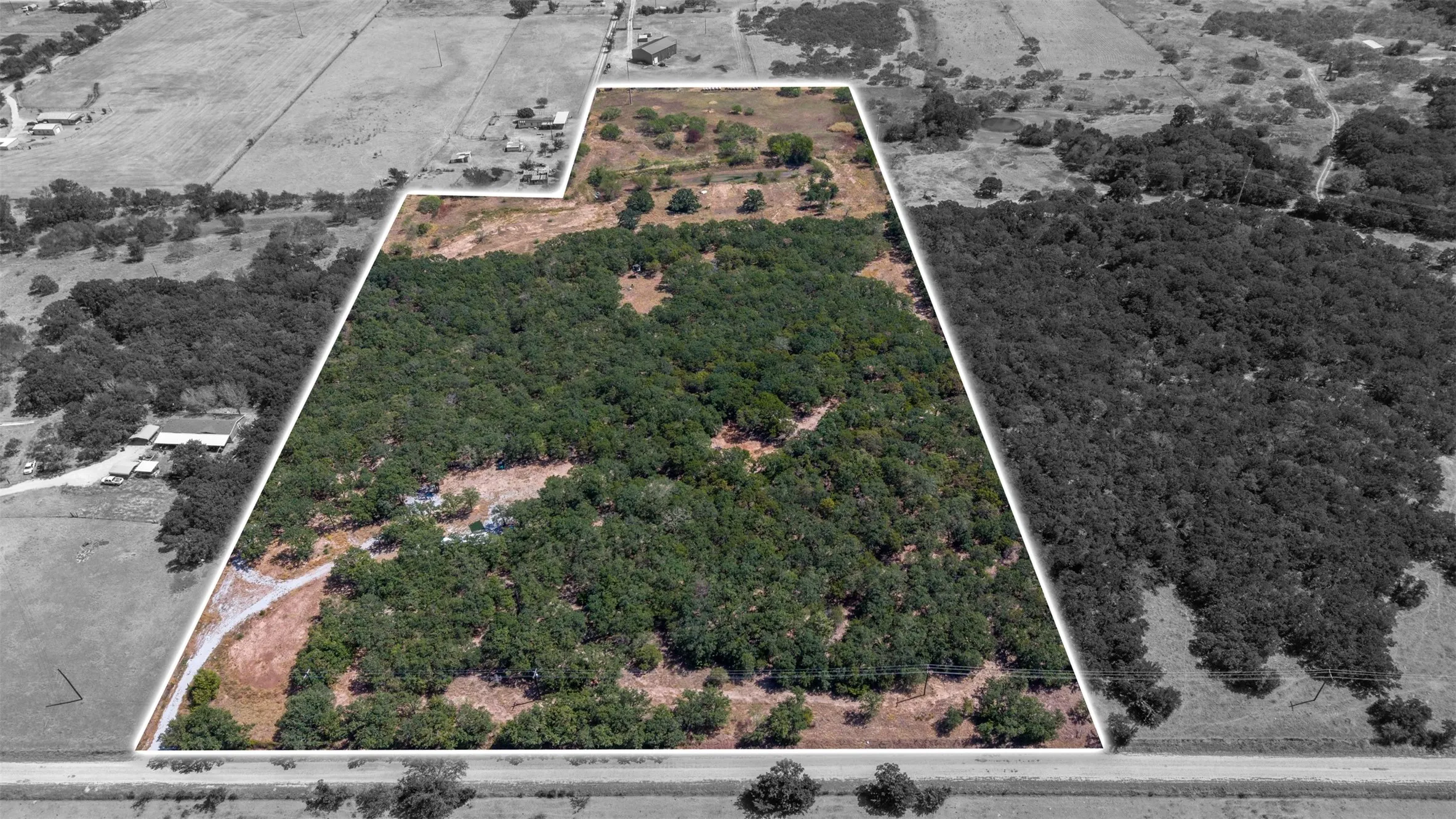 Expansive wooded acreage with a defined boundary line