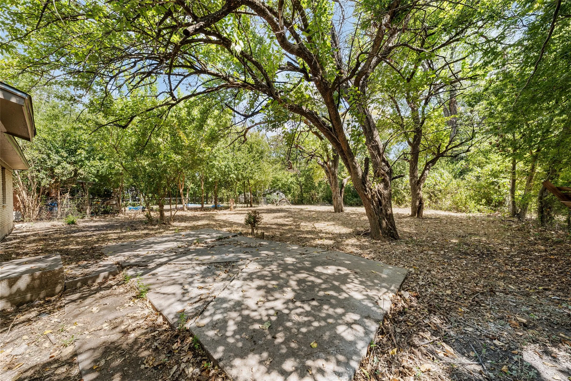 Expansive outdoor area featuring mature trees, a concrete patio, and lush greenery