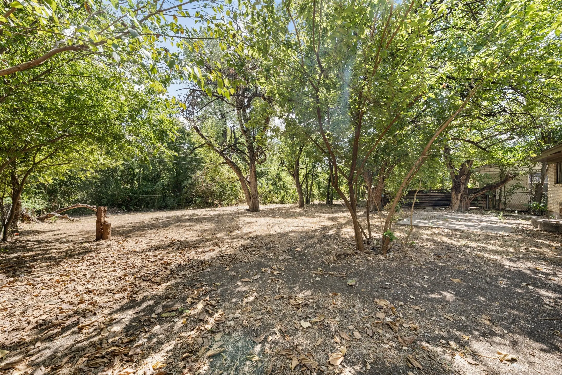 Expansive lot featuring mature trees and natural ground cover