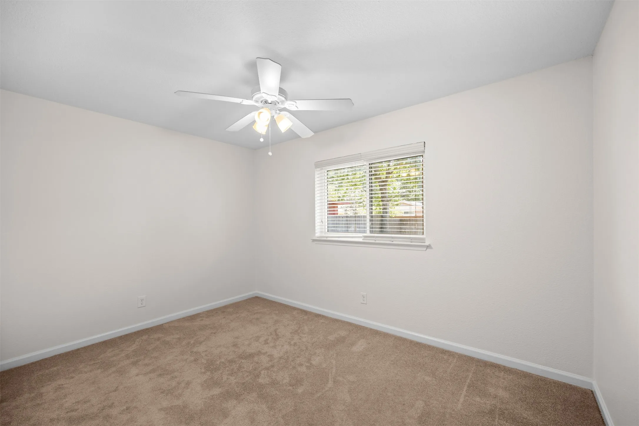 Neutral-toned walls complement the plush carpeting
