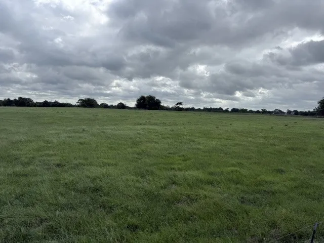 Unimproved Land For Sale in Van Zandt County , 479 VZ County Road 1504, Van, Texas 75790, 0, 0, Garage spaces, 0 Sqft, built in 0, mls#21389417, Real Estate Agent in Van, Homes For Sale in Van Zandt county, Homes For Sale in Van, Realtor in Van Texas, Real Estate Brokerage Independent Realty Texas, Luminita Cordes Realtor