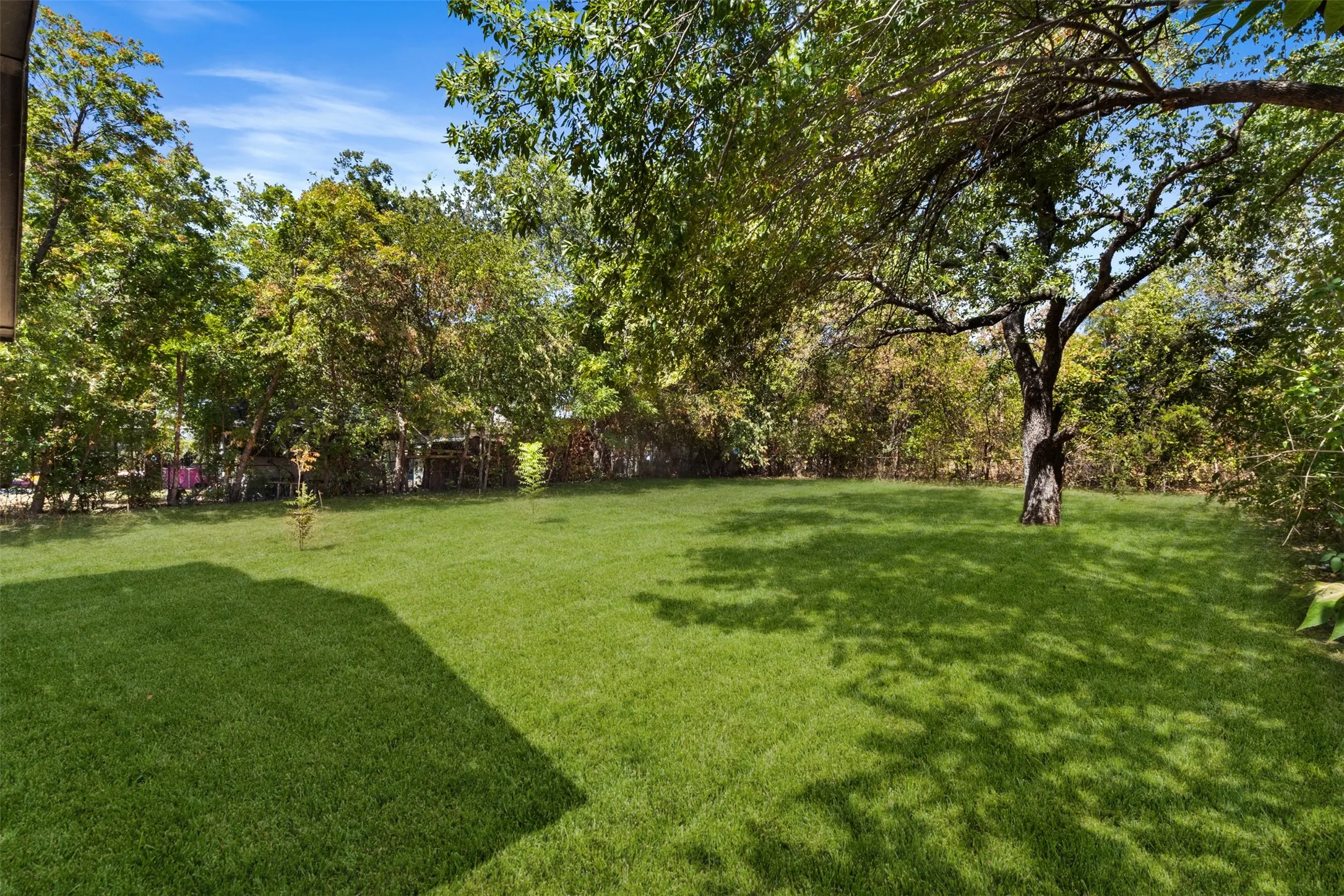 Expansive grassy yard with mature trees and dense perimeter foliage