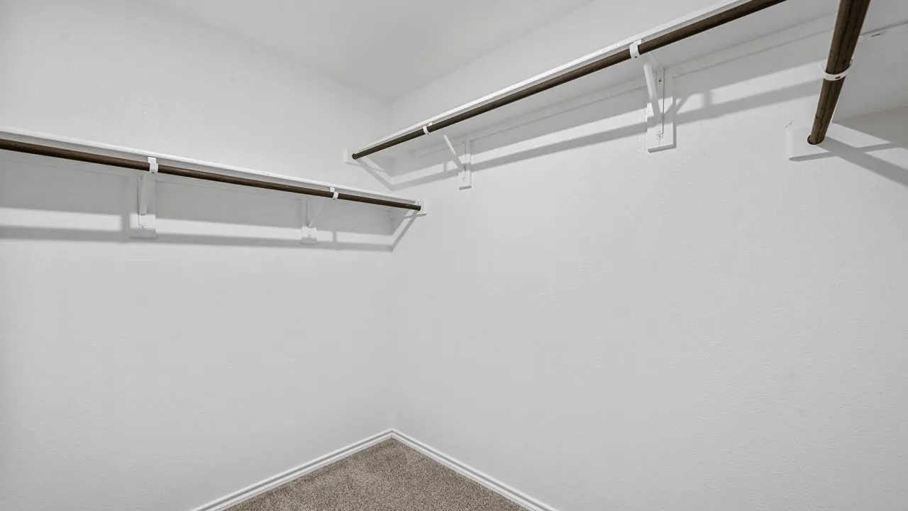Walk-in closet with ample storage, integrated shelving, and carpeted flooring
